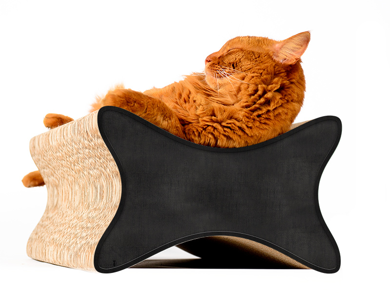Katze auf LE PAPILLON Kratzmöbel von cat-on – elegantes Designer Kratzbrett aus Kratzpappe, handgefertigt in Berlin
