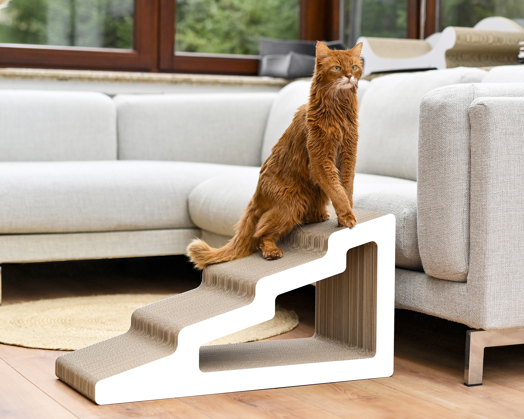 Kaidan Kratztreppe Weiß – Modernes Kratzmöbel aus Karton für Katzen Katze steht auf Designer-Kratztreppe Kaidan aus stabiler Pappe mit Front in Dunkelgelb.