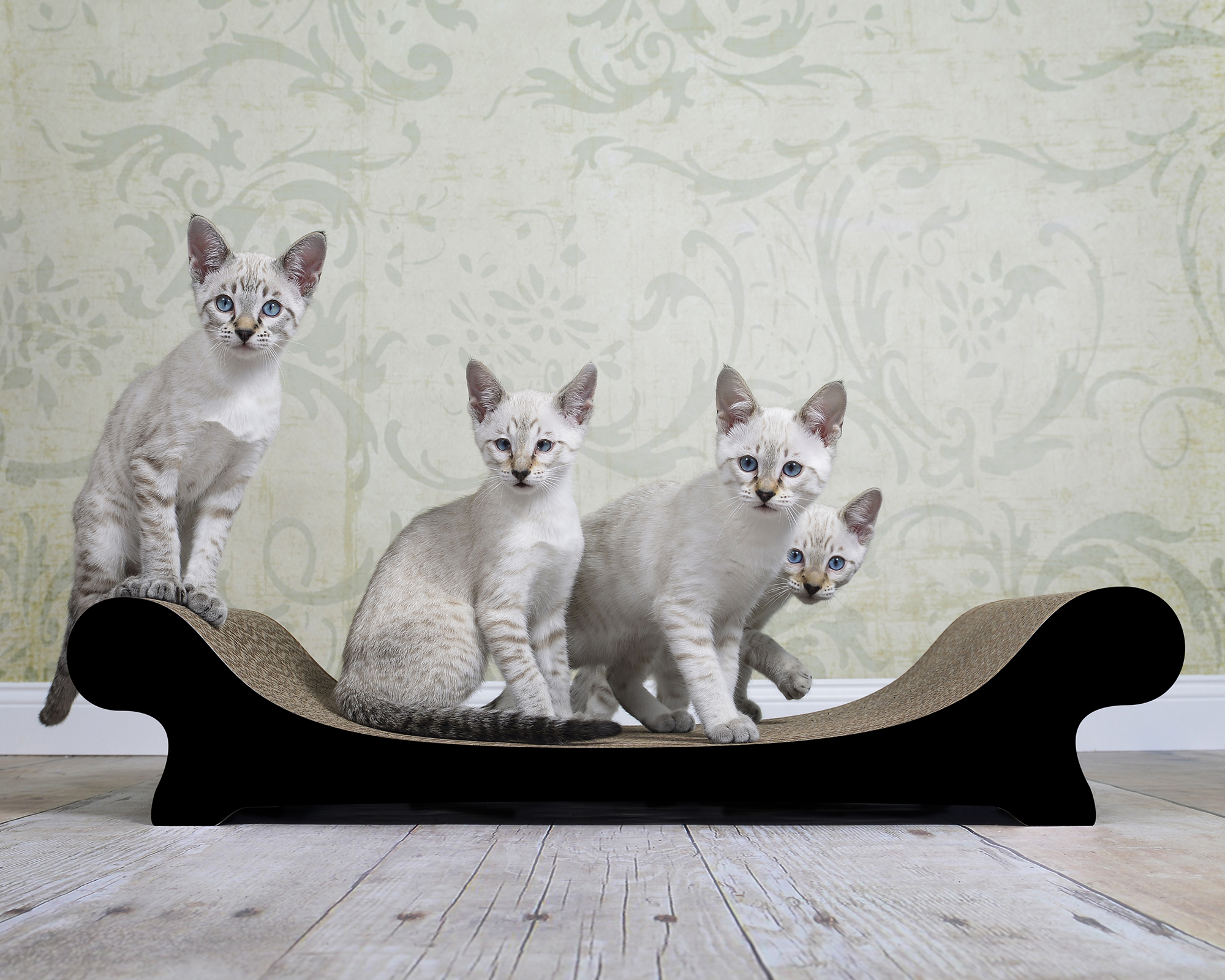 LE CANAPÉ PLUS Katzensofa von cat-on, mit Katze auf Katzenmoebel aus Wellpappe