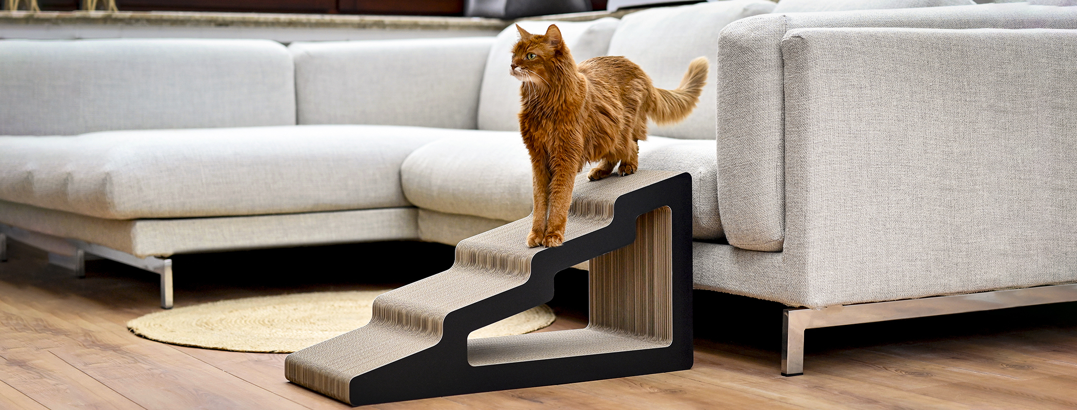 Large cat stretching comfortably on the stylish designer scratching board Cool cat standing on the stylish Kaidan scratching staircase crafted from durable corrugated cardboard wide