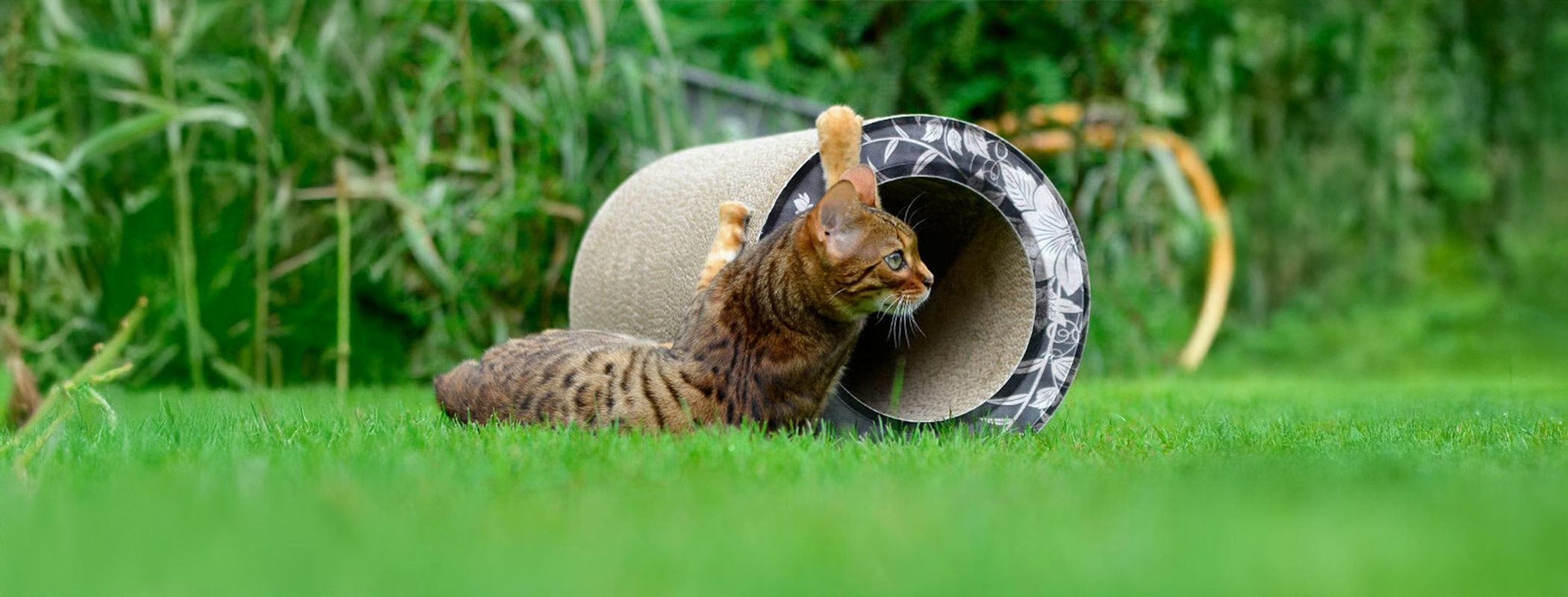 LE TUBE – Cat Tunnel, custom color (999)