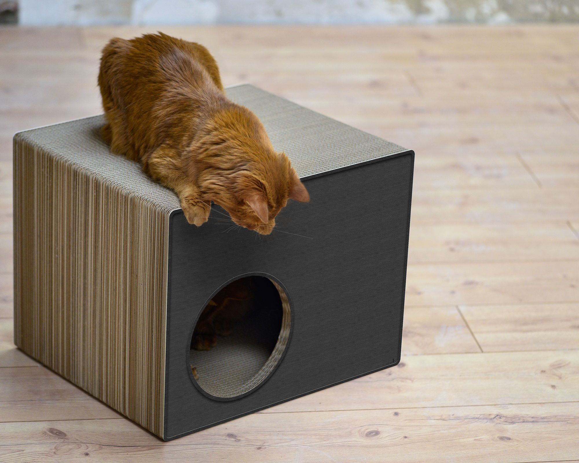 PHREDIA Eckhaus von cat-on, eine Katze oben liegend, eine Katze innen