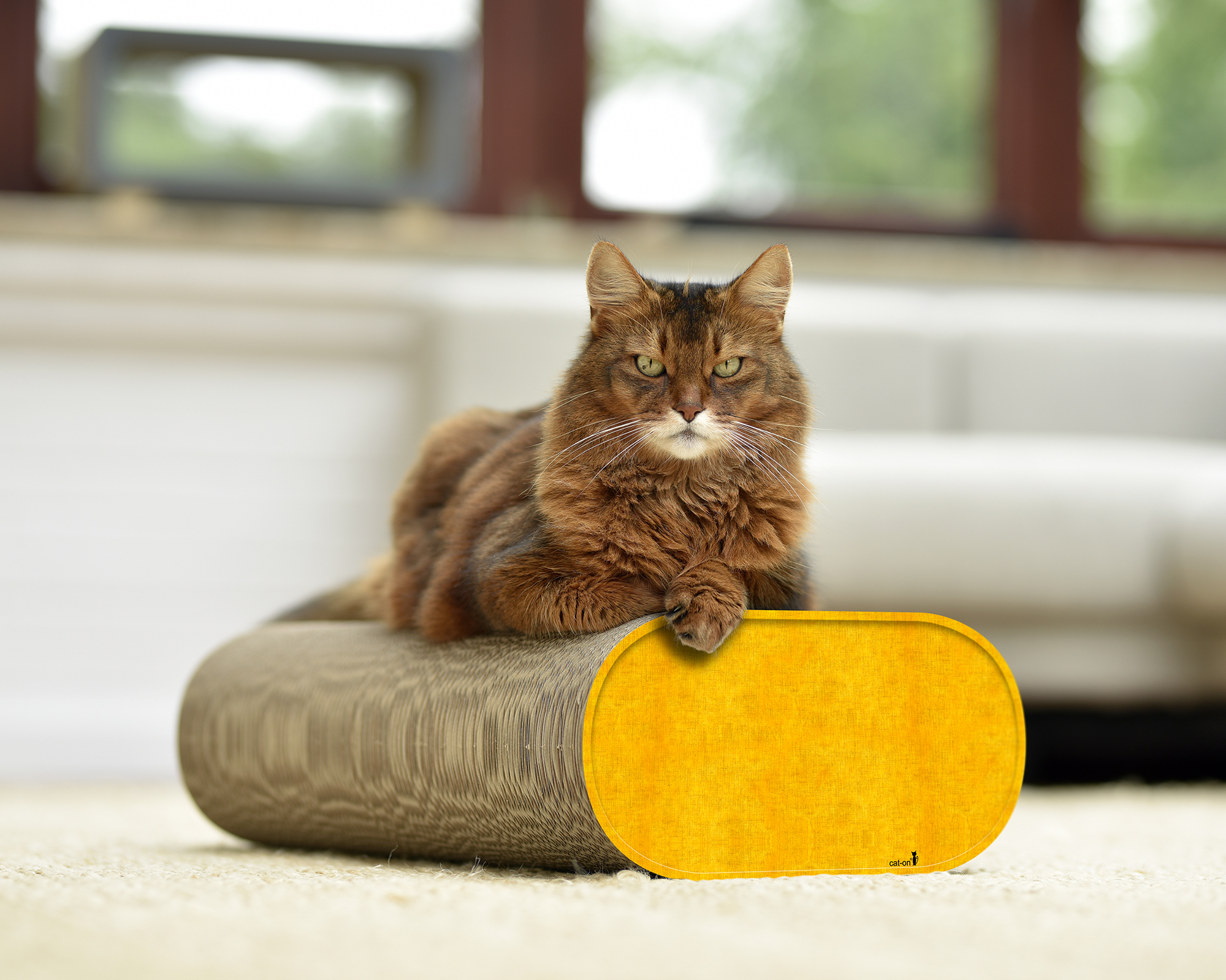 Kratzbrett LA BANQUETTE (004E) – intensive Gelbnuance, sehr formstabil.