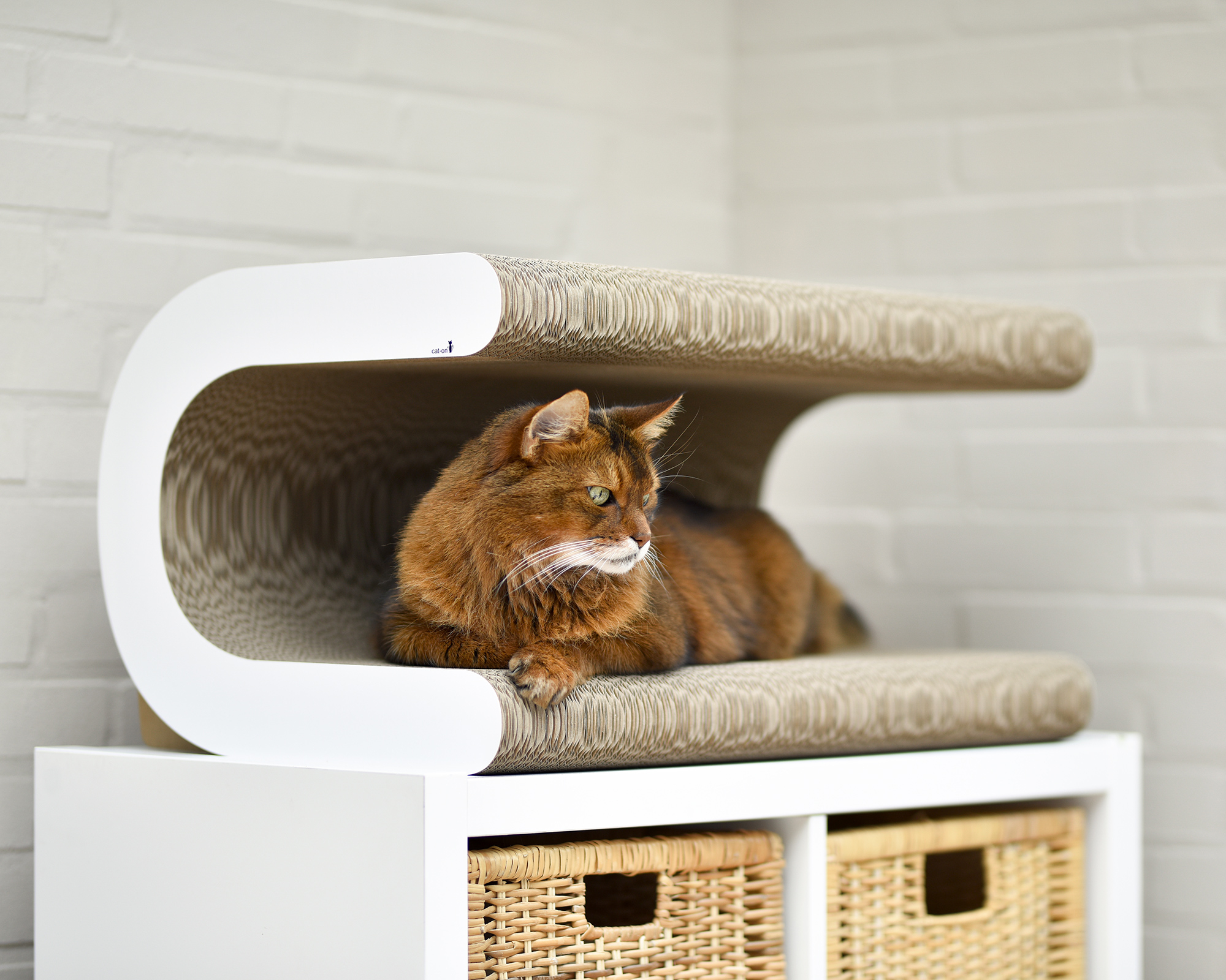 Katze entspannt auf dem Le Tonneau XL Design-Kratzmöbel