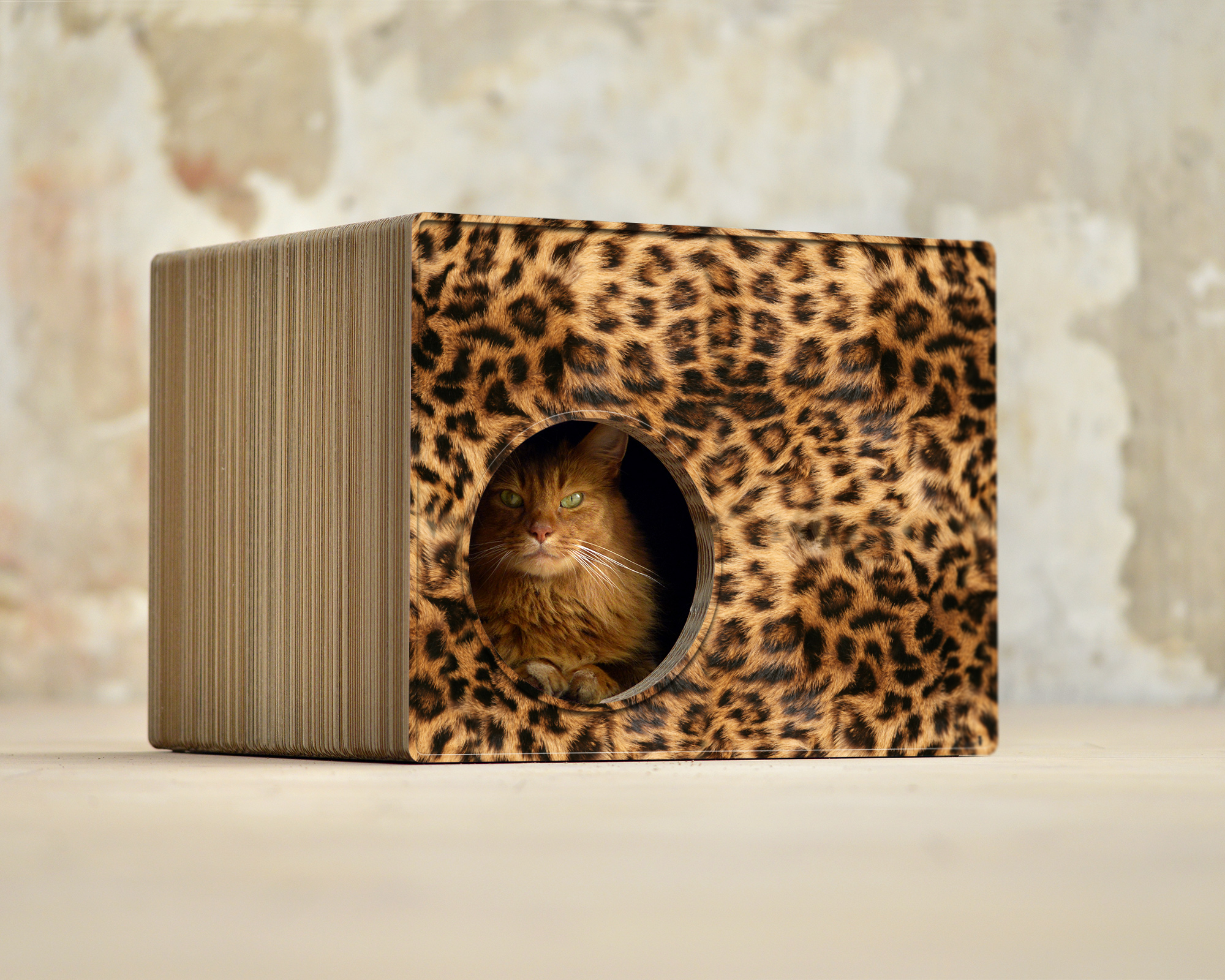 PHREDIA Eckhaus von cat-on, Katze im Inneren des Design-Kratzmöbels aus Wellpappe