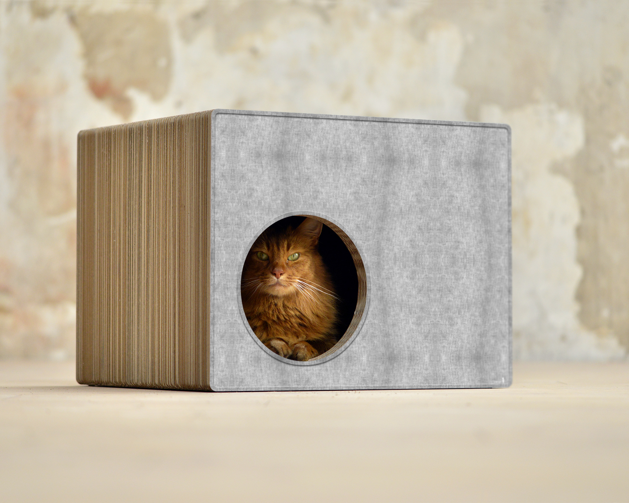 PHREDIA Eckhaus von cat-on, Katze im Inneren des Design-Kratzmöbels aus Wellpappe