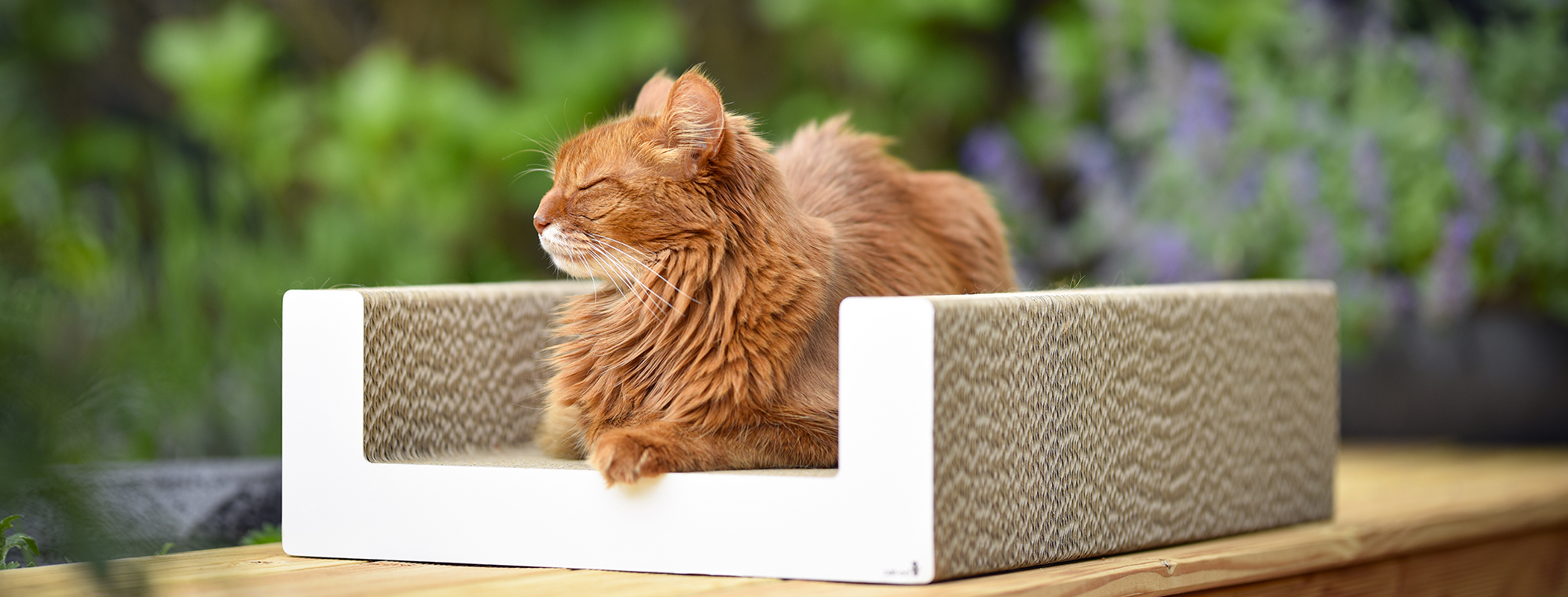 PURRFECT SCRATCH LOUNGE Cat Scratcher, shiny white (000x) PURRFECT SCRATCH LOUNGE Cat Scratcher, shiny white (000x)