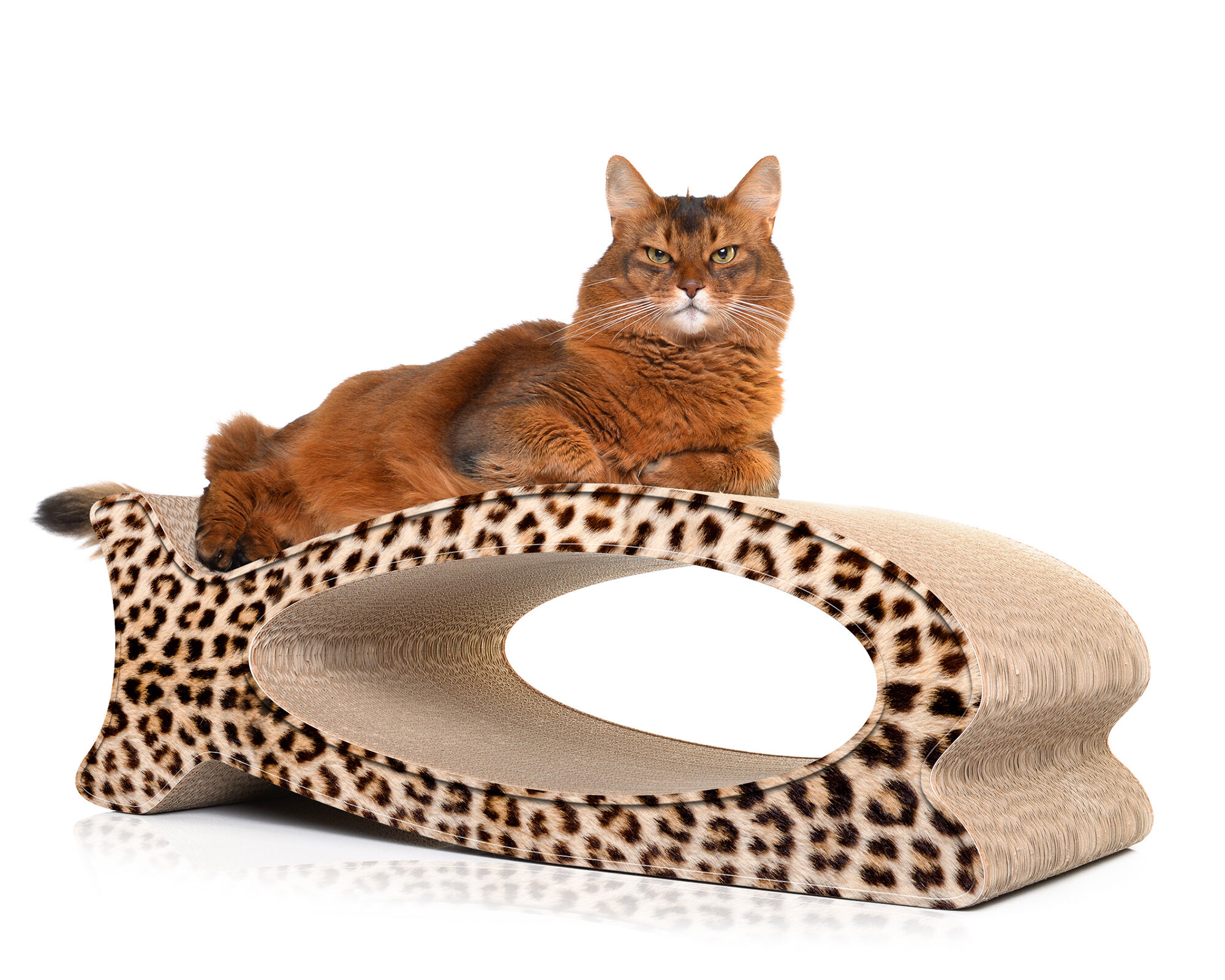 LE FISH – griffoir en carton en forme de poisson, design moderne et élégant