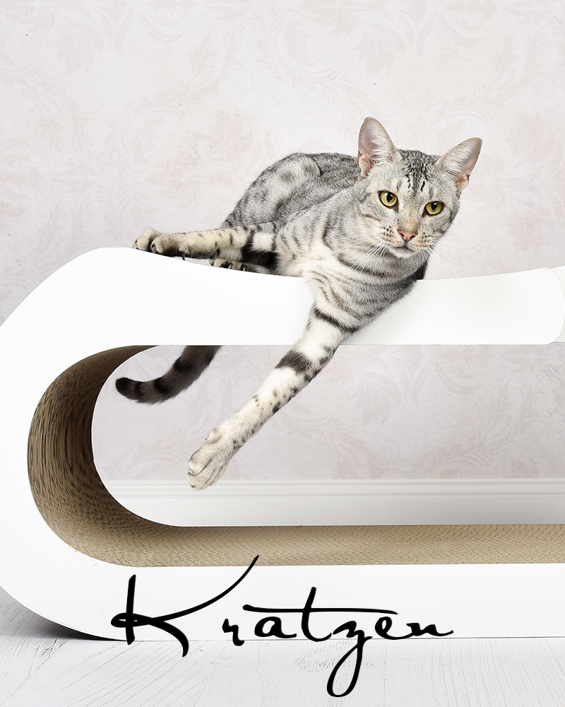 robuste-moderne-design-katzenmoebel-kratzmoebel-fuer-katzen-aus-wellpappe robuste-moderne-design-katzenmoebel-kratzmoebel-fuer-katzen-aus-wellpappe