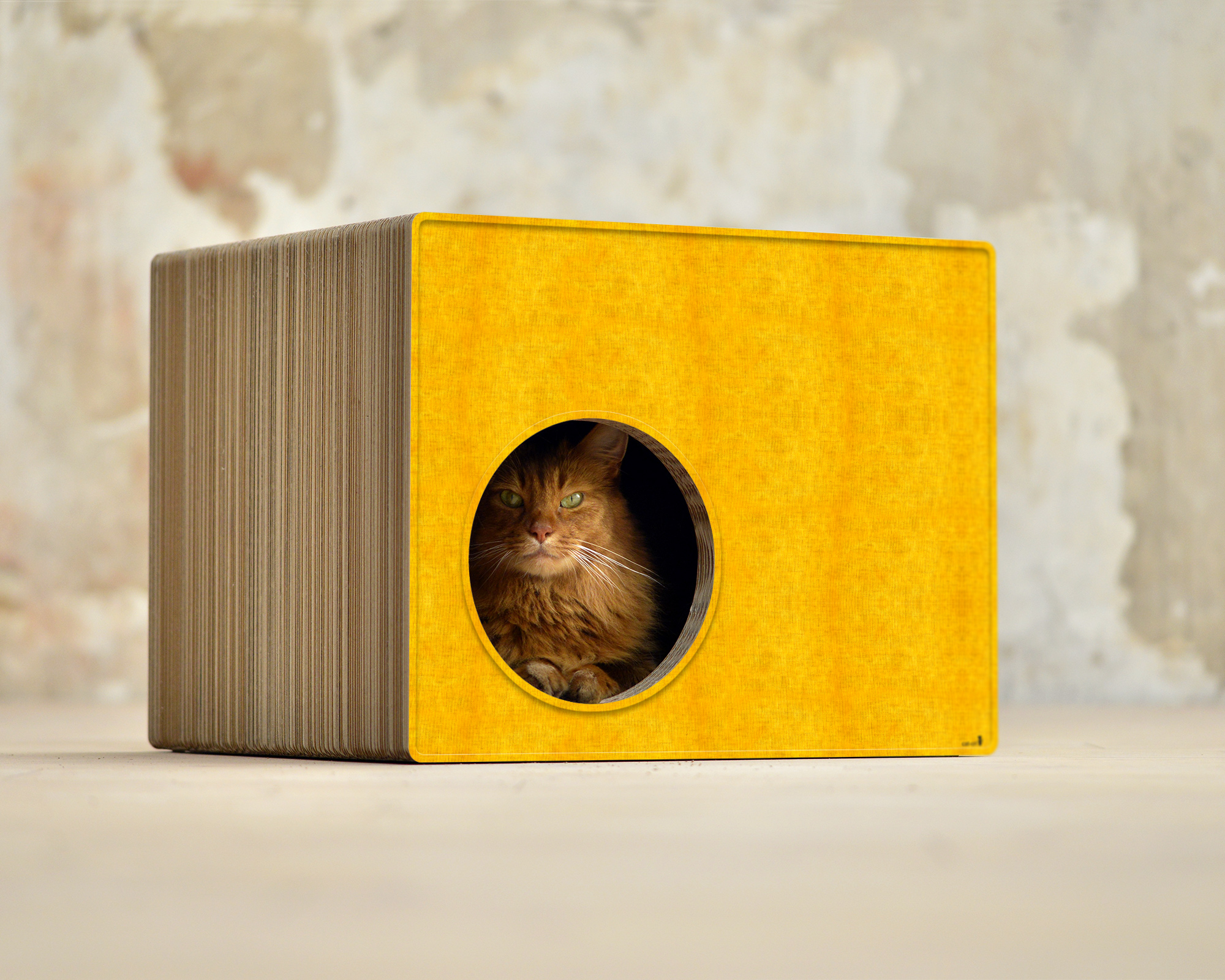 PHREDIA Eckhaus von cat-on, Katze im Inneren des Design-Kratzmöbels aus Wellpappe