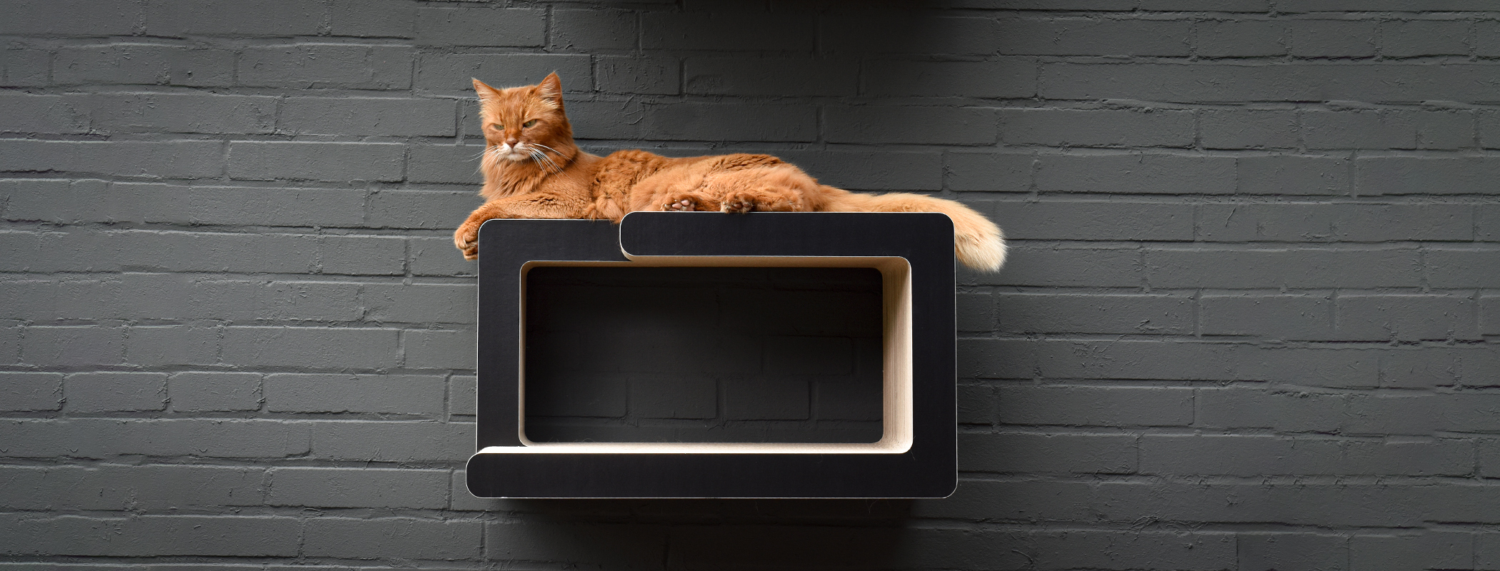 KIO HIDARI Design Wall Scratcher, black matt (013x) KIO HIDARI Design Wall Scratcher, black matt (013x)