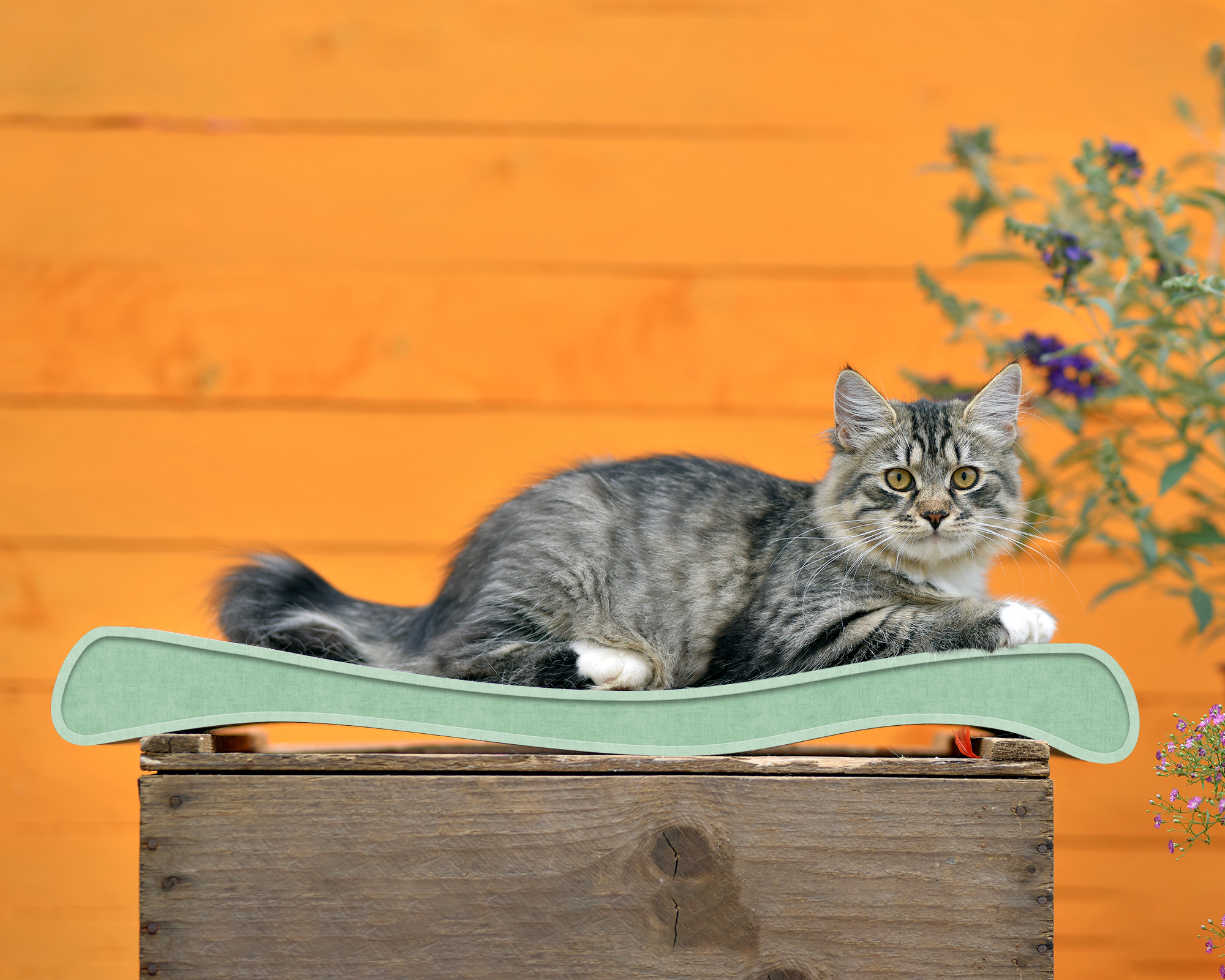 LA OLA Kratzwelle für Katzen, hemlock mintgrün (006h)