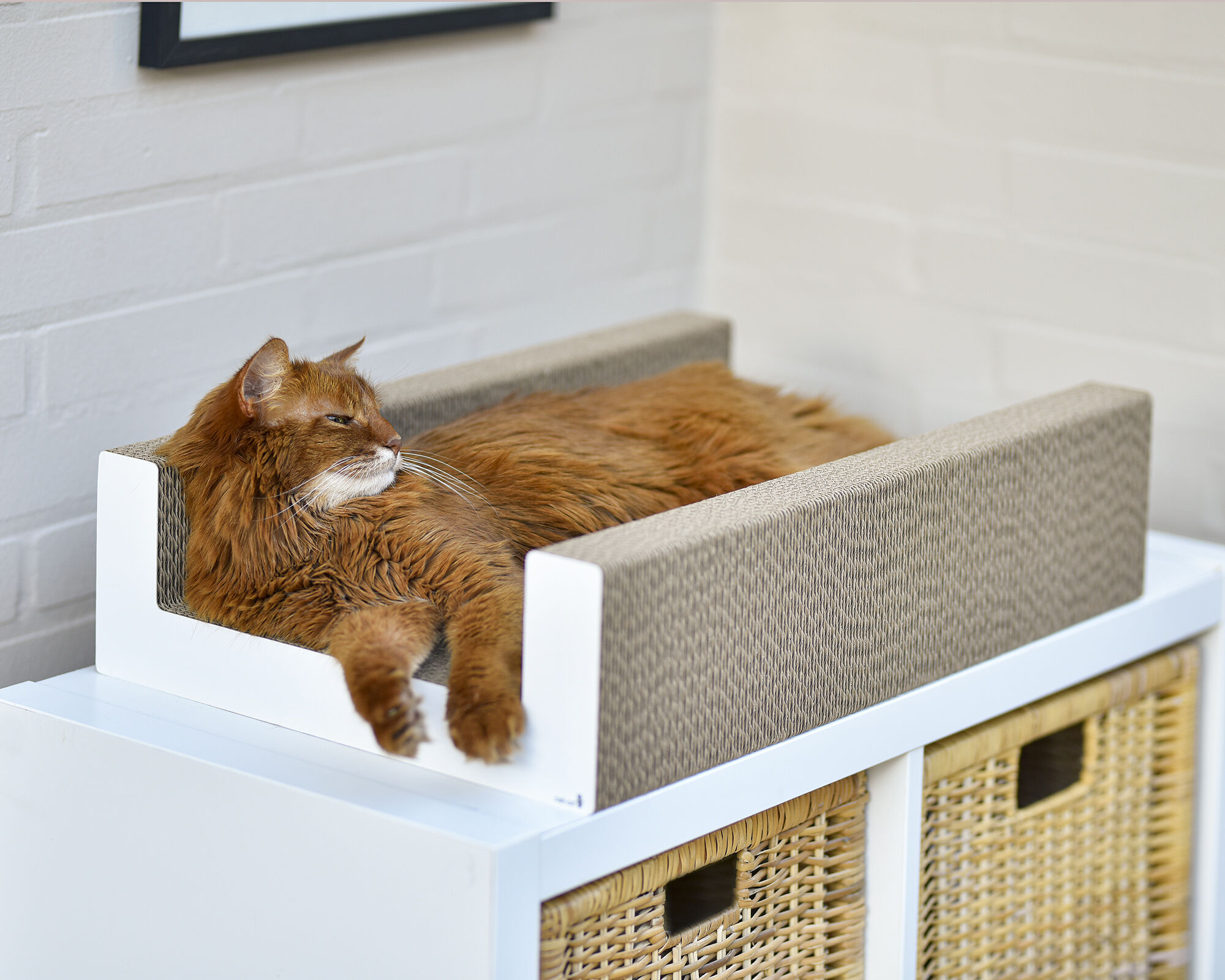 katzen-kratzbox-wellpappe_cat-on_purrfect-scratch-lounge_weiss-000x PURRFECT SCRATCH LOUNGE Cat Scratcher