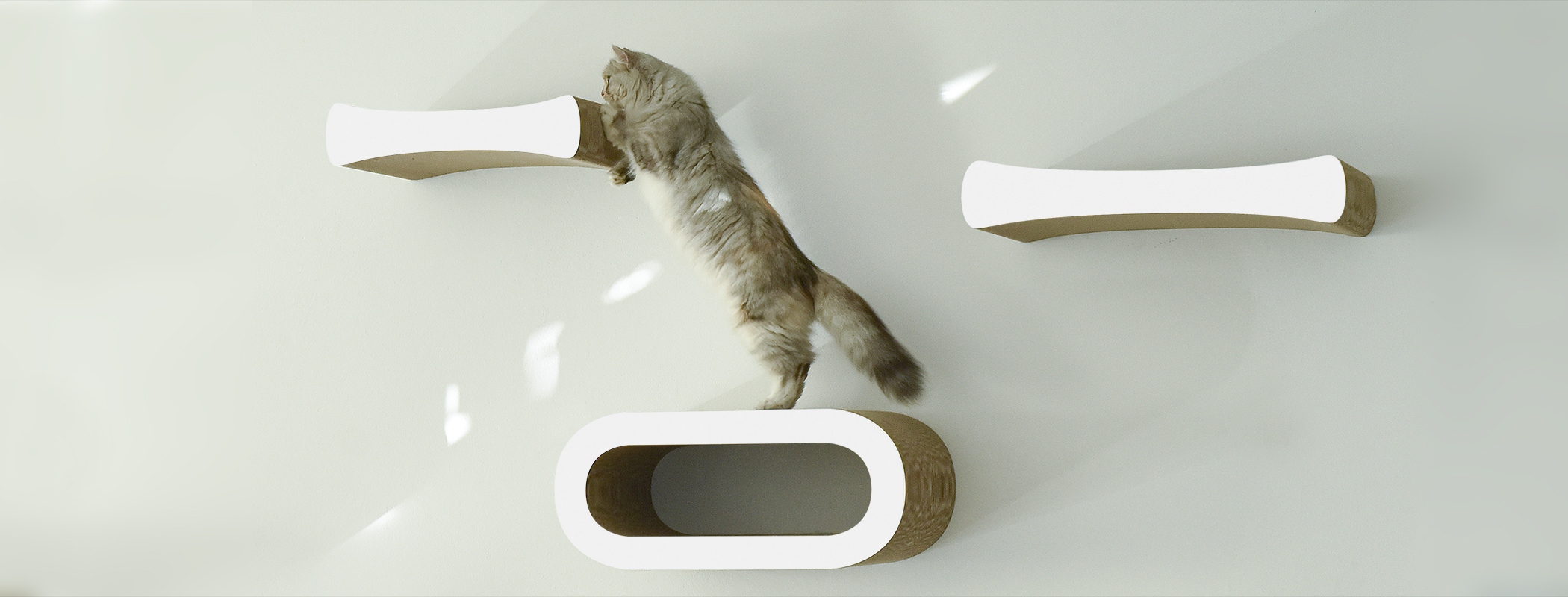 LE MAITRE Design Scratching Furniture, shiny white (000x) LE MAITRE Design Scratching Furniture, shiny white (000x)
