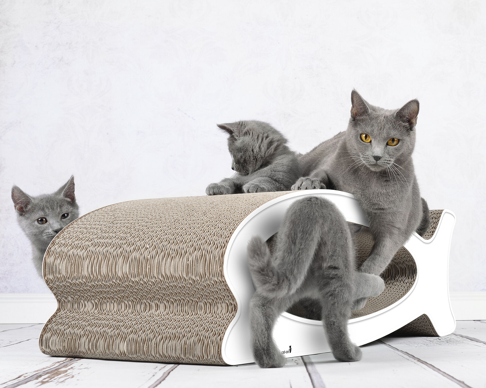 Katzen spielen und kratzen an LE FISH – stilvolles Kratzmöbel aus Pappe in Fischform