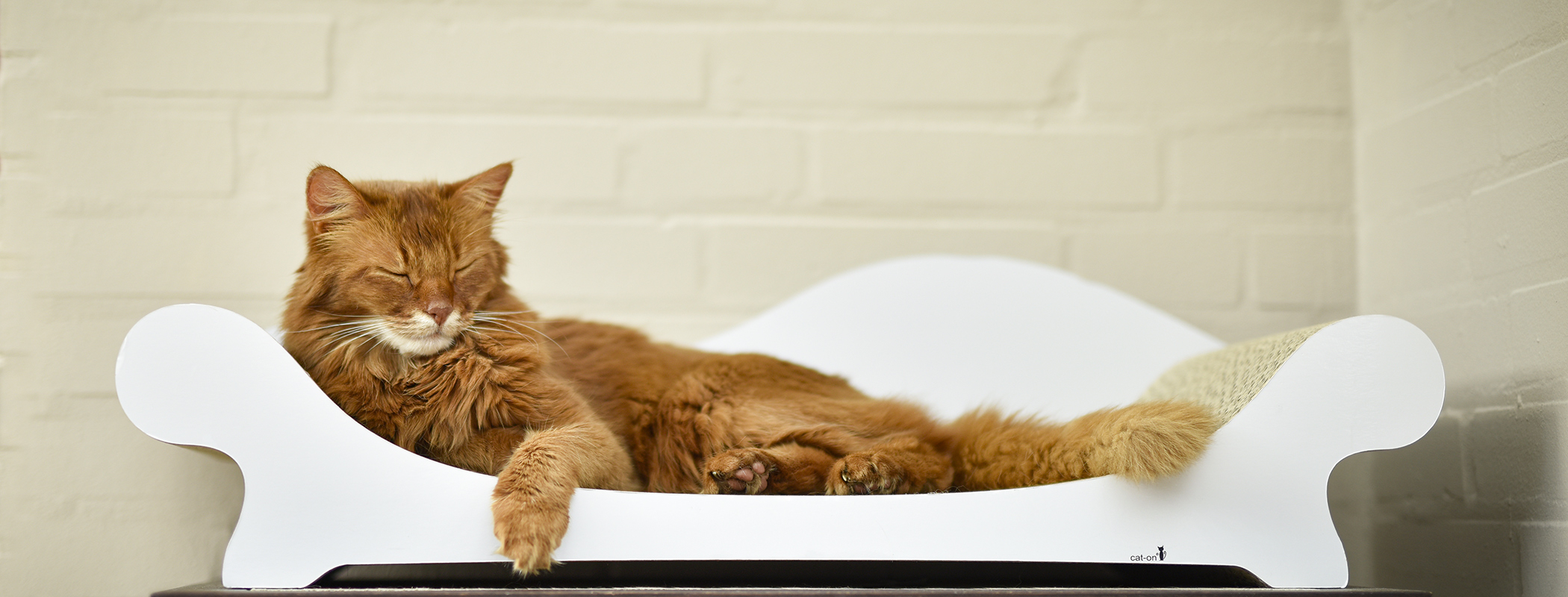 LE CANAPÉ PLUS – Design-Katzensofa aus Wellpappe, handmade in Berlin LE CANAPÉ PLUS cat sofa by cat-on, with cat resting on top