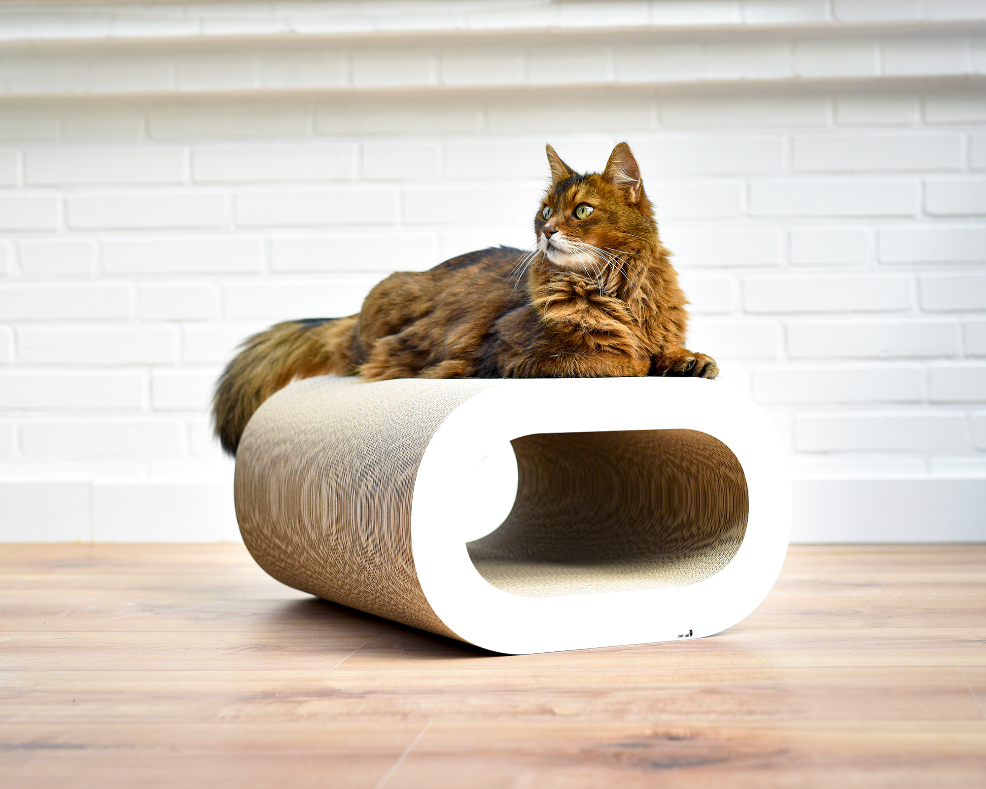 LE TRONC Kratzmöbel für Katzen Eine Katze entspannt in LE TRONC – einer stylischen Kratzhöhle aus nachhaltiger Wellpappe, ein modernes Kratzmöbel für Katzen mit elegantem Design.