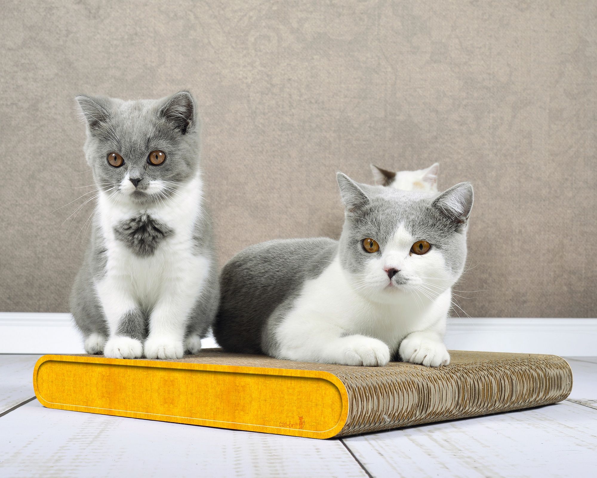 Katzenmöbel La Planche (004E) – farbiger Kratz- und Liegeplatz aus Wellpappe.