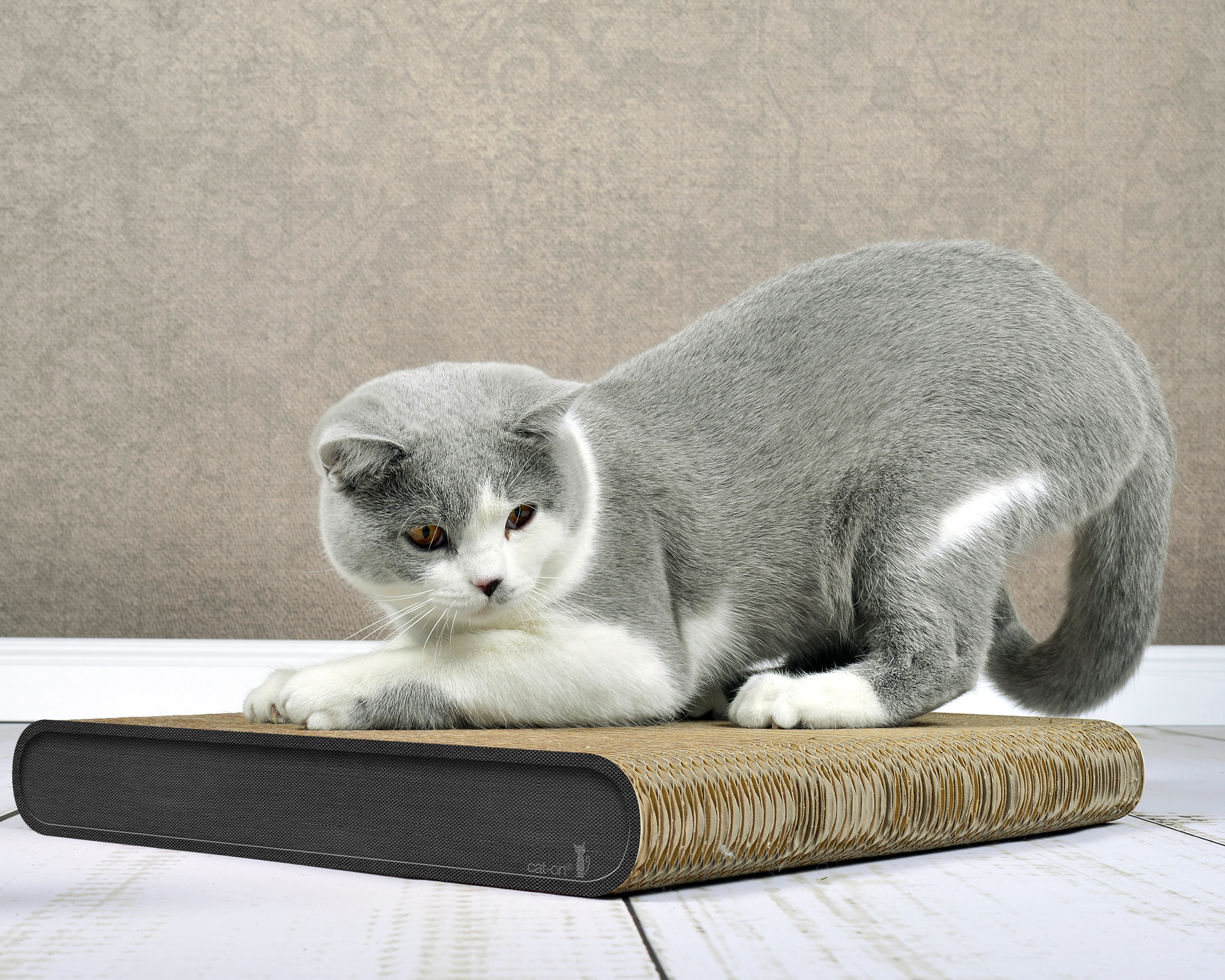 Design-Kratzmöbel La Planche in Anthrazit (013H) – stilvoll und nachhaltig.