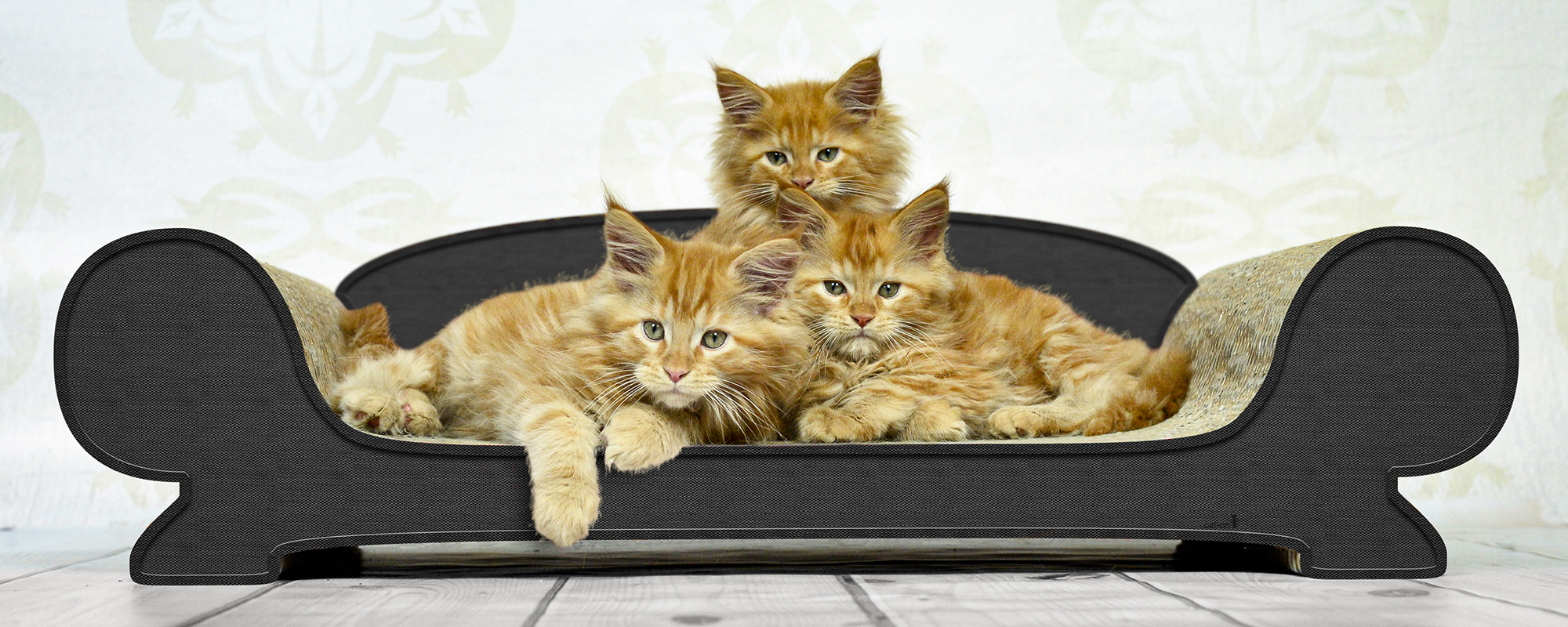 cat-on | VERTIGE cardboard scratching post - sofa for cats Three cute kittens lie on the wide Vertige cat sofa made of corrugated cardboard by cat-on, handmade in Berlin.