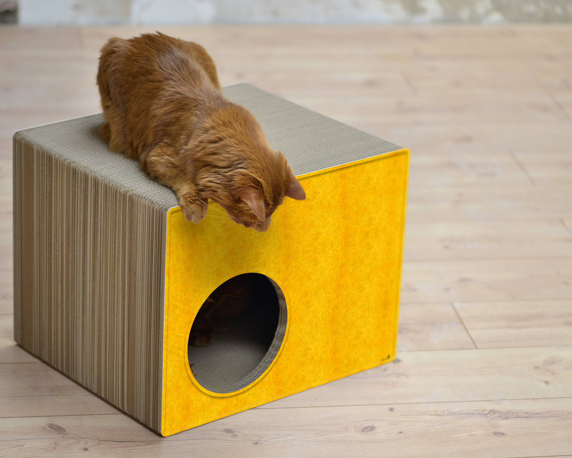 PHREDIA Eckhaus von cat-on, eine Katze oben liegend, eine Katze innen