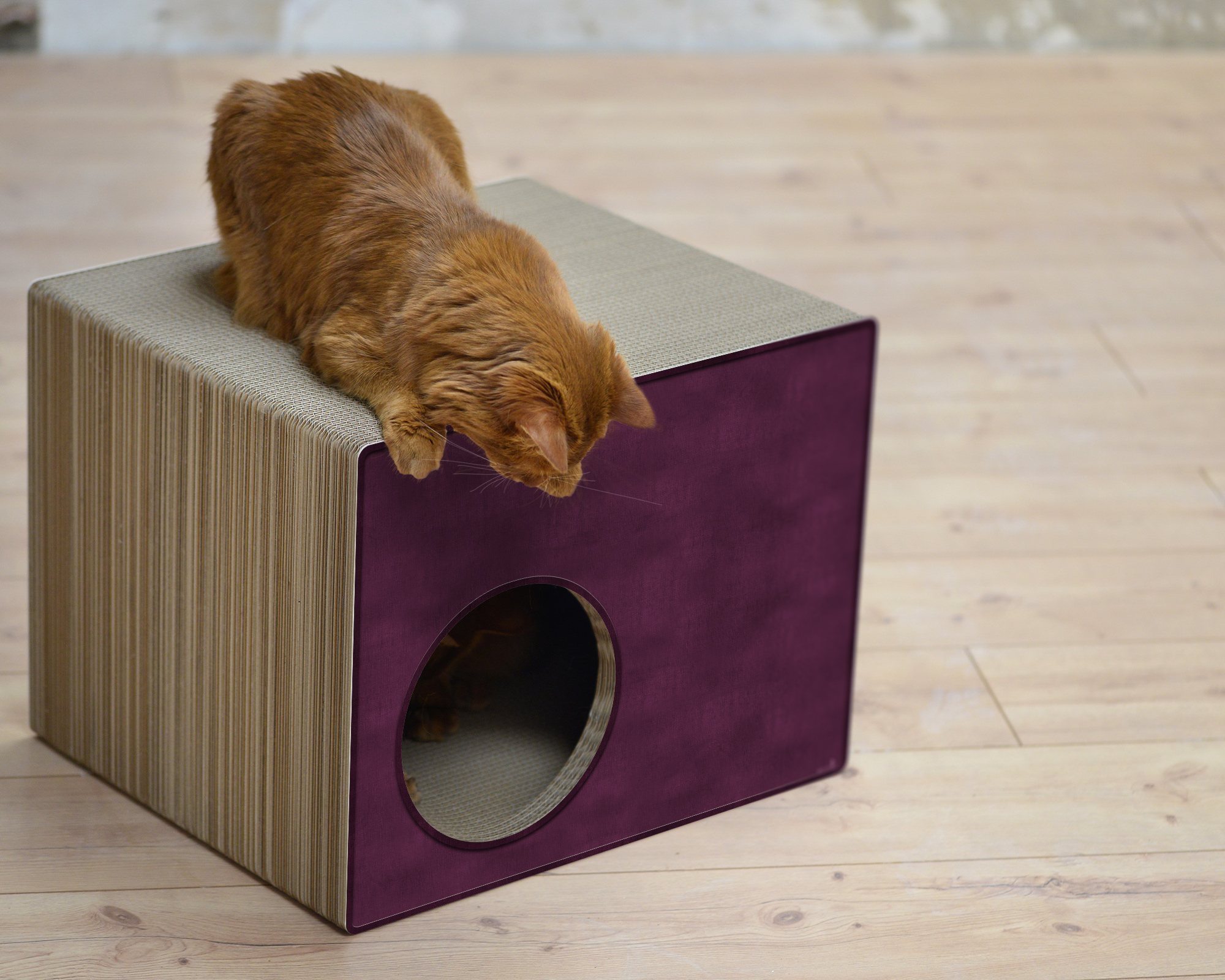 PHREDIA Eckhaus von cat-on, eine Katze oben liegend, eine Katze innen