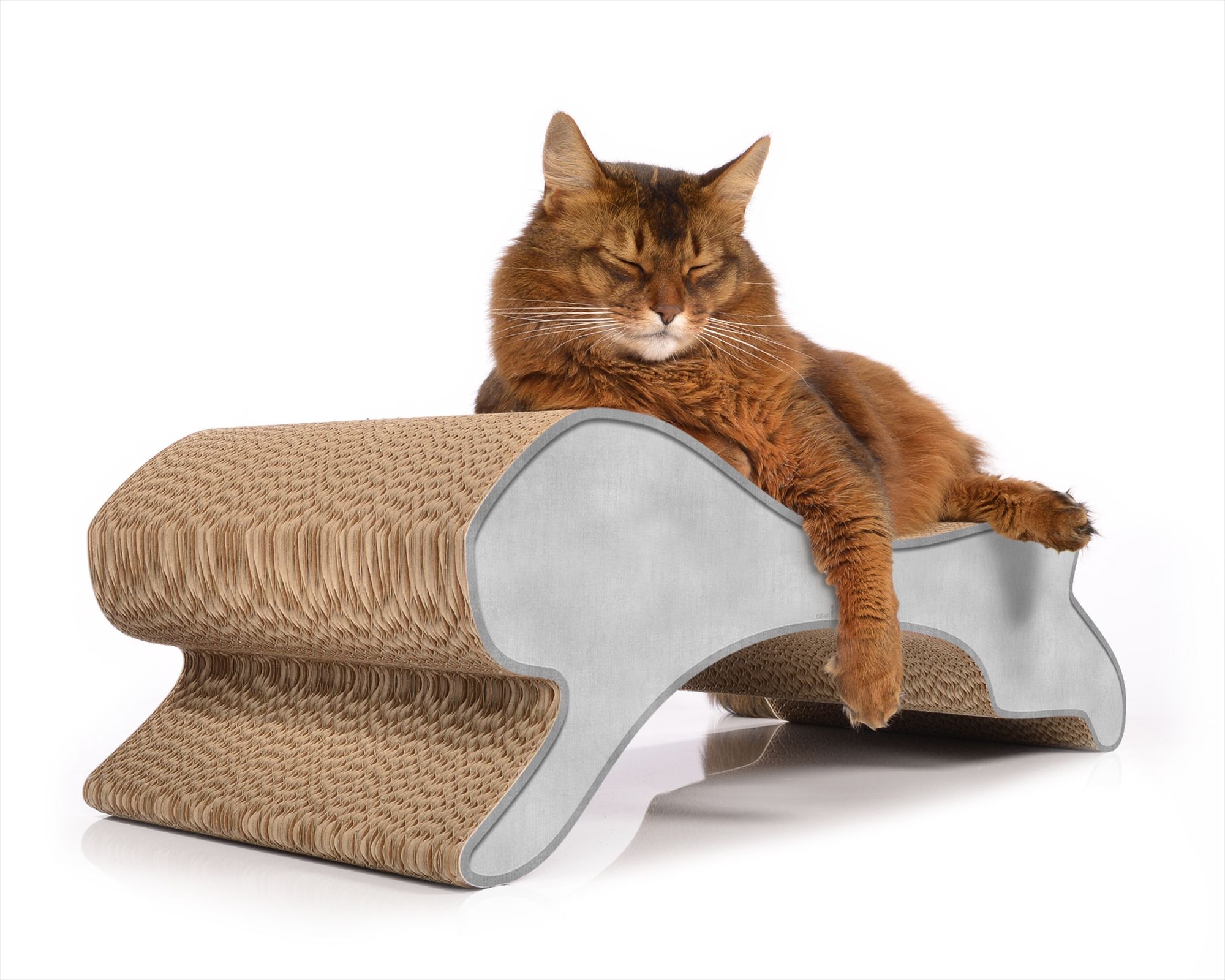 Eine Katze chillt entspannt auf dem modernen Design-Katzenmöbel Motion – stilvolles Kratzmöbel, Liegeplatz, Katzenbett