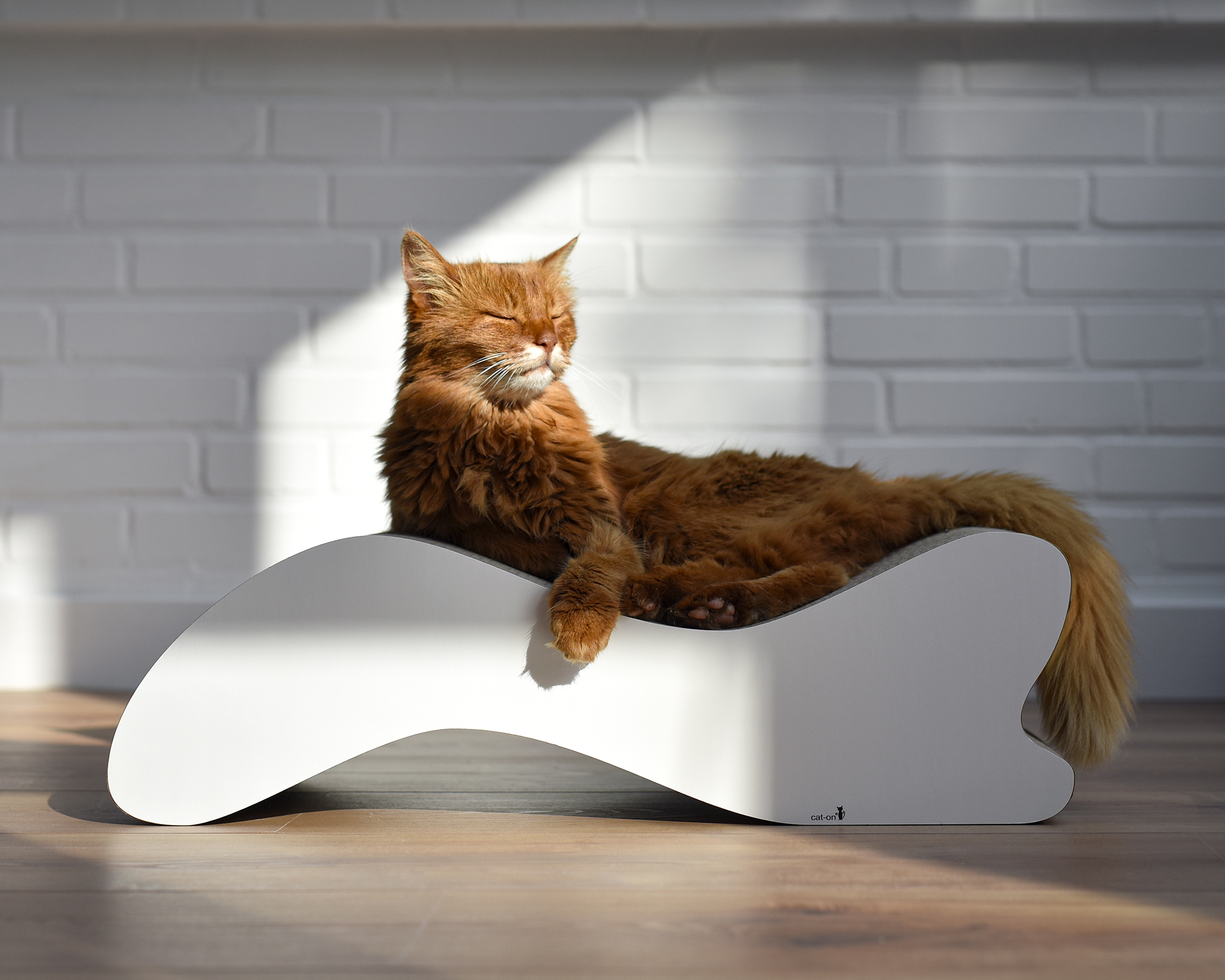 Stylisches Katzenmöbel – Relax & Design für Katzen Katze entspannt auf stylischem Design-Katzenmöbel aus Wellpappe