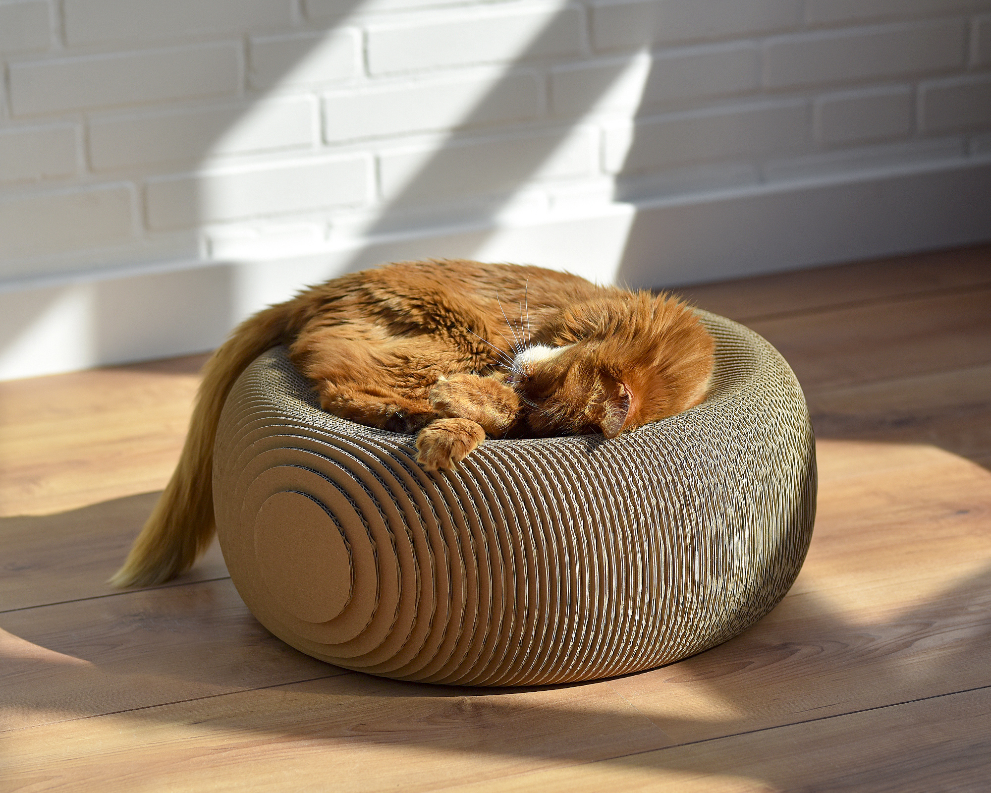 Nachhaltiges Design Katzenmöbel LE PLOUFF Das runde Katzenmöbel gehört zu den schönsten Katzenmöbeln