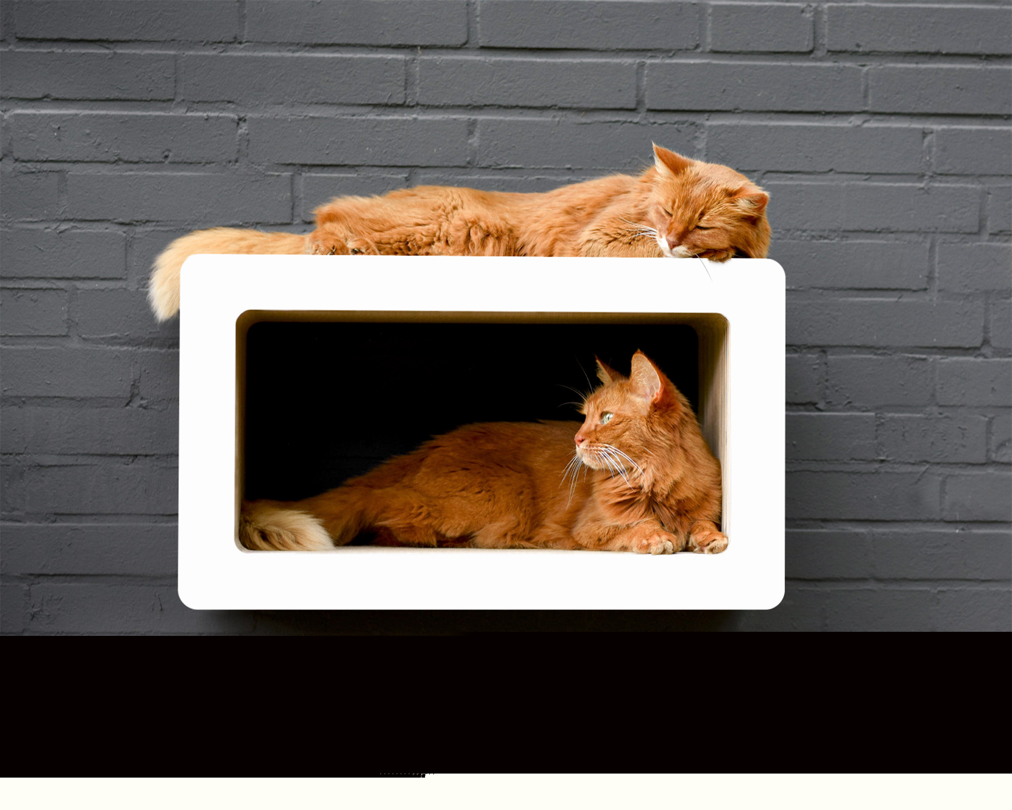SOI SHUBUI Design Wall Scratcher, shiny white (000x) SOI SHUBUI Design Wall Scratcher, shiny white (000x)
