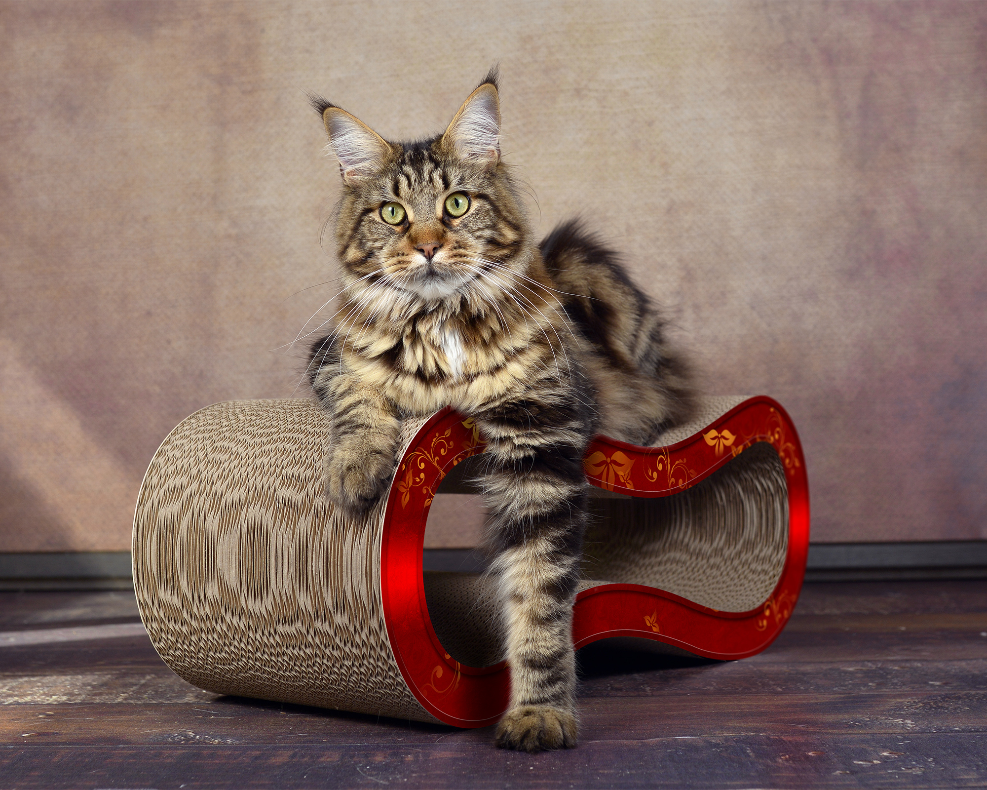 SINGHA M Design Katzenmöbel, élégance (030)