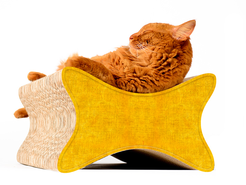 Katze auf LE PAPILLON Kratzmöbel von cat-on – elegantes Designer Kratzbrett aus Kratzpappe, handgefertigt in Berlin