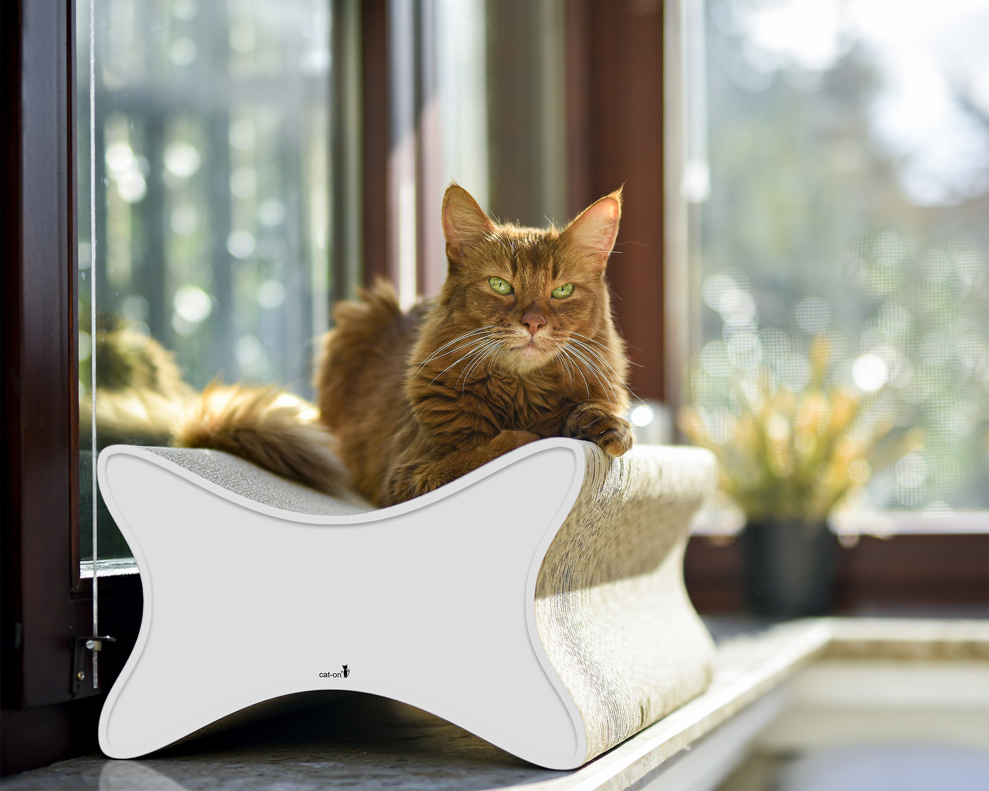 Katze auf LE PAPILLON Kratzmöbel von cat-on – elegantes Designer Kratzbrett aus Kratzpappe, handgefertigt in Berlin