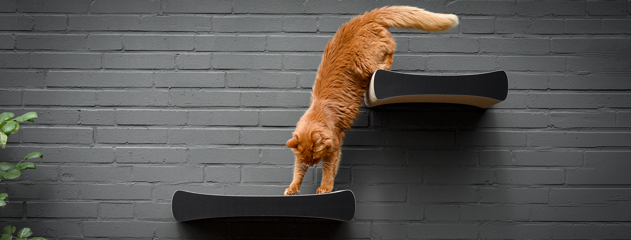 LE PLATEAU L Design Wandkratzbrett für Katzen, weiß, gestrichen (000x) LE PLATEAU L Design Wandkratzbrett für Katzen, weiß, gestrichen (000x)