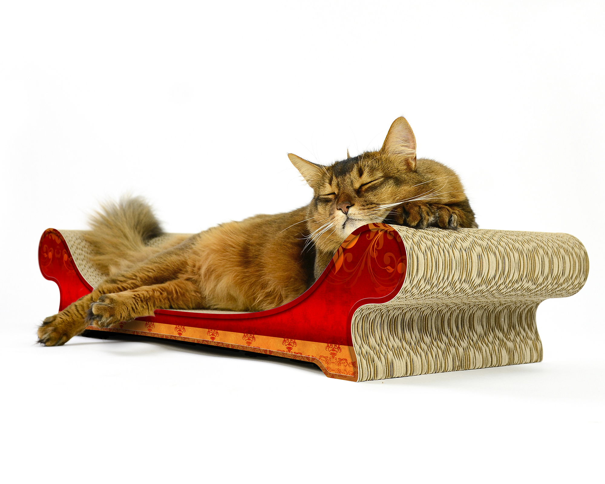 LE CANAPÉ PLUS Katzensofa von cat-on, mit Katze auf Katzenmoebel aus Wellpappe