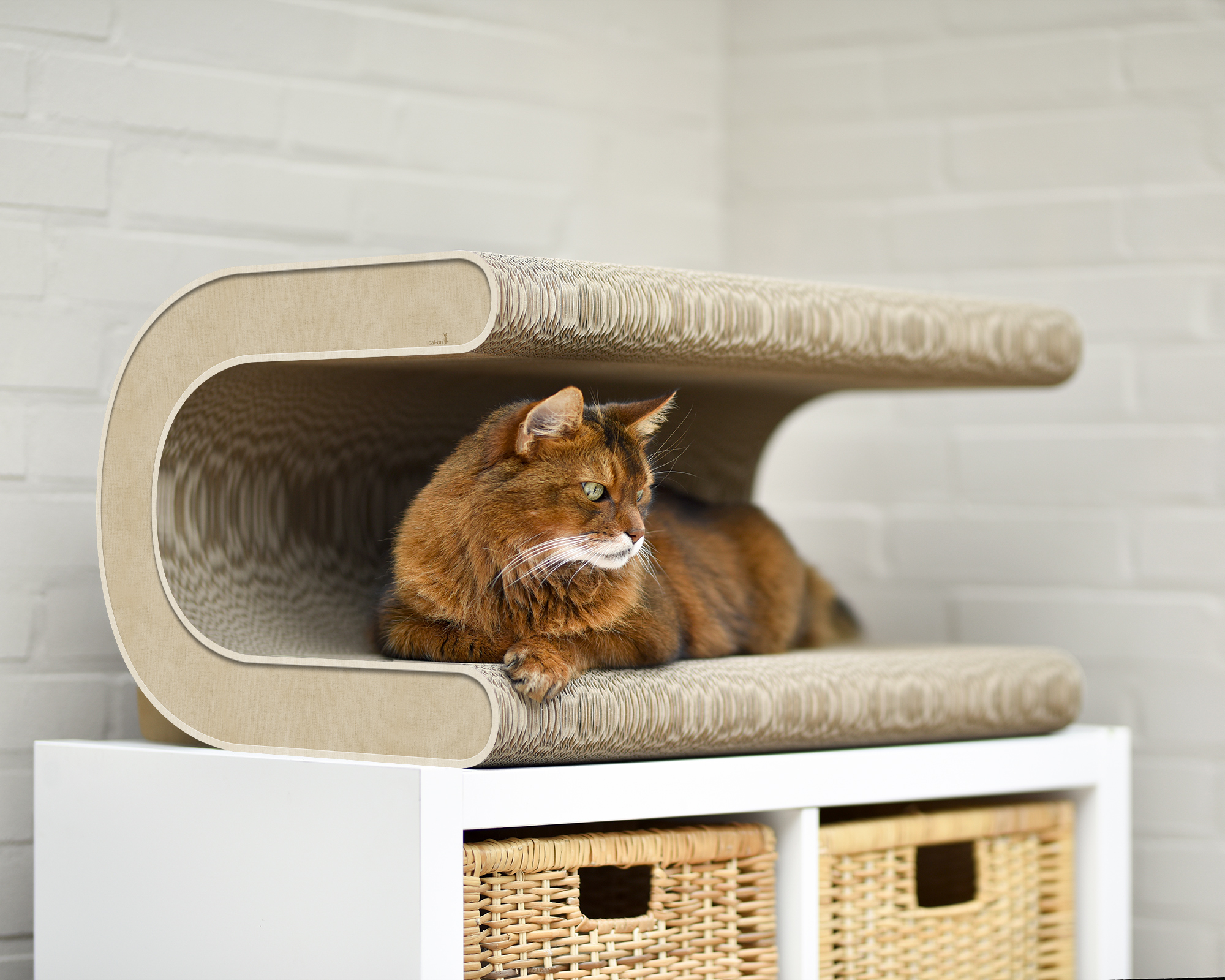 Entspannte Katze auf dem Le Tonneau XL Kratzmöbel von cat-on beige