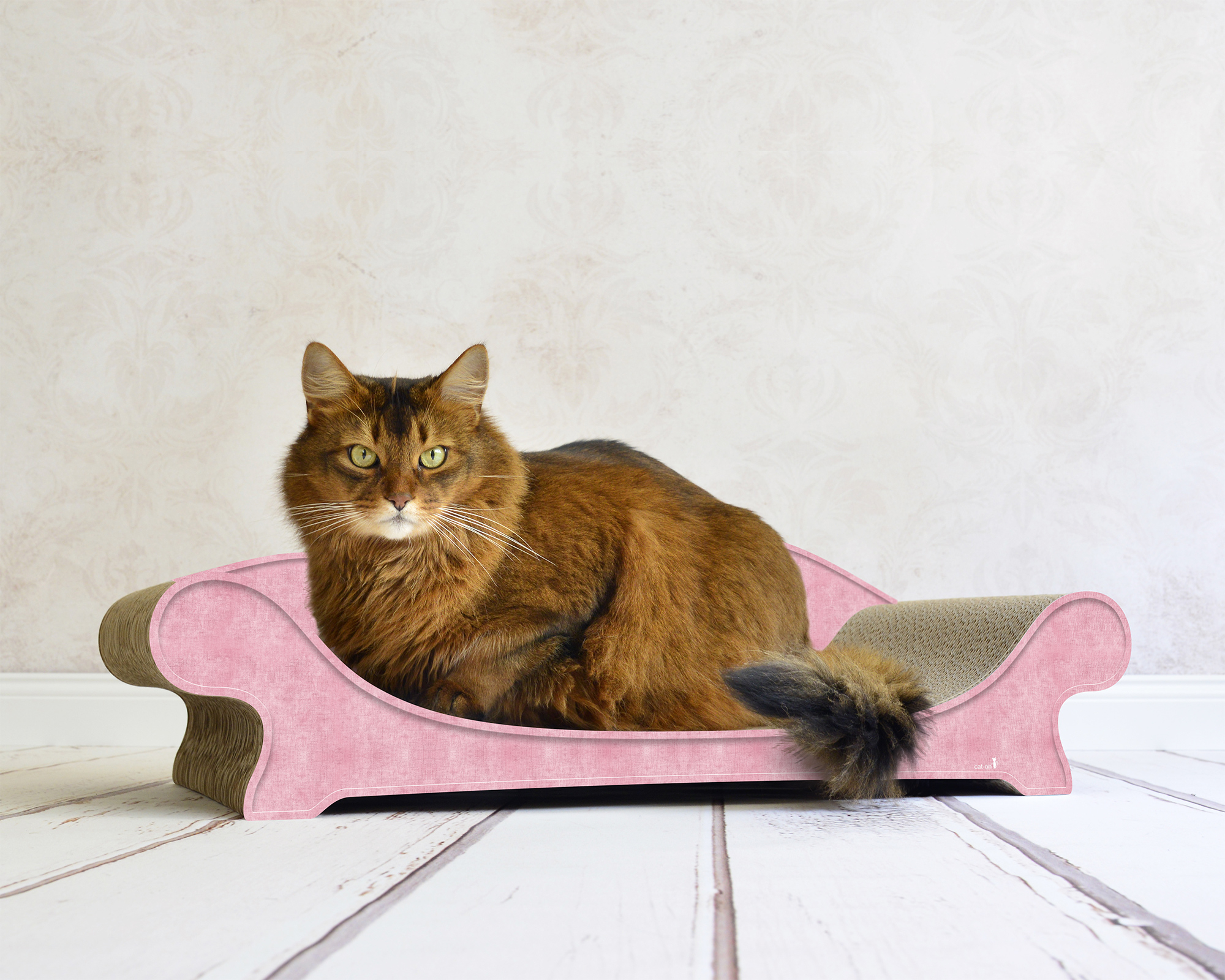 LE CANAPÉ PLUS Katzensofa von cat-on, mit Katze auf Katzenmoebel aus Wellpappe