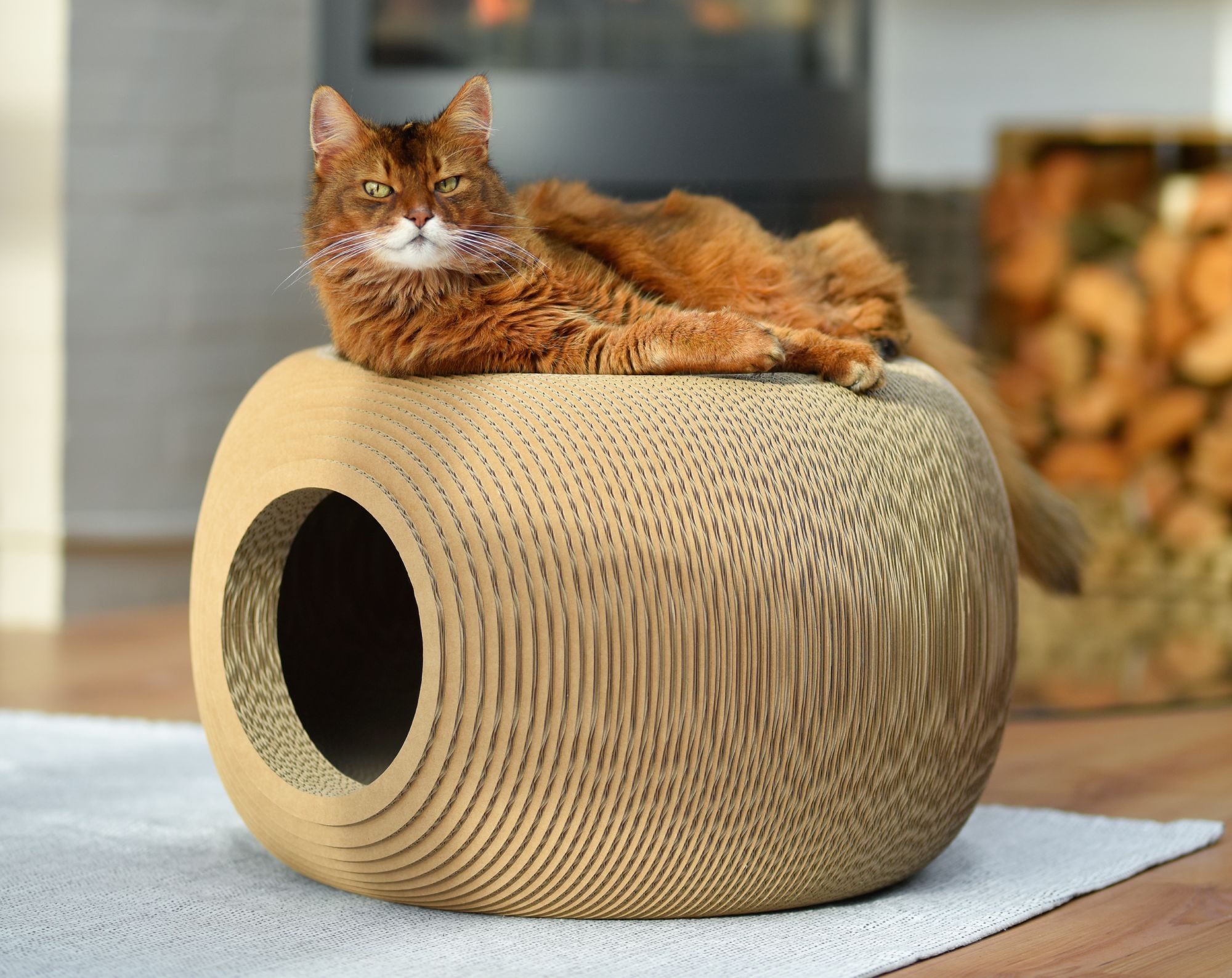 Cat resting in the round BILLE cat bed by cat-on, sustainable designer cat furniture made of corrugated cardboard, handcrafted in Berlin