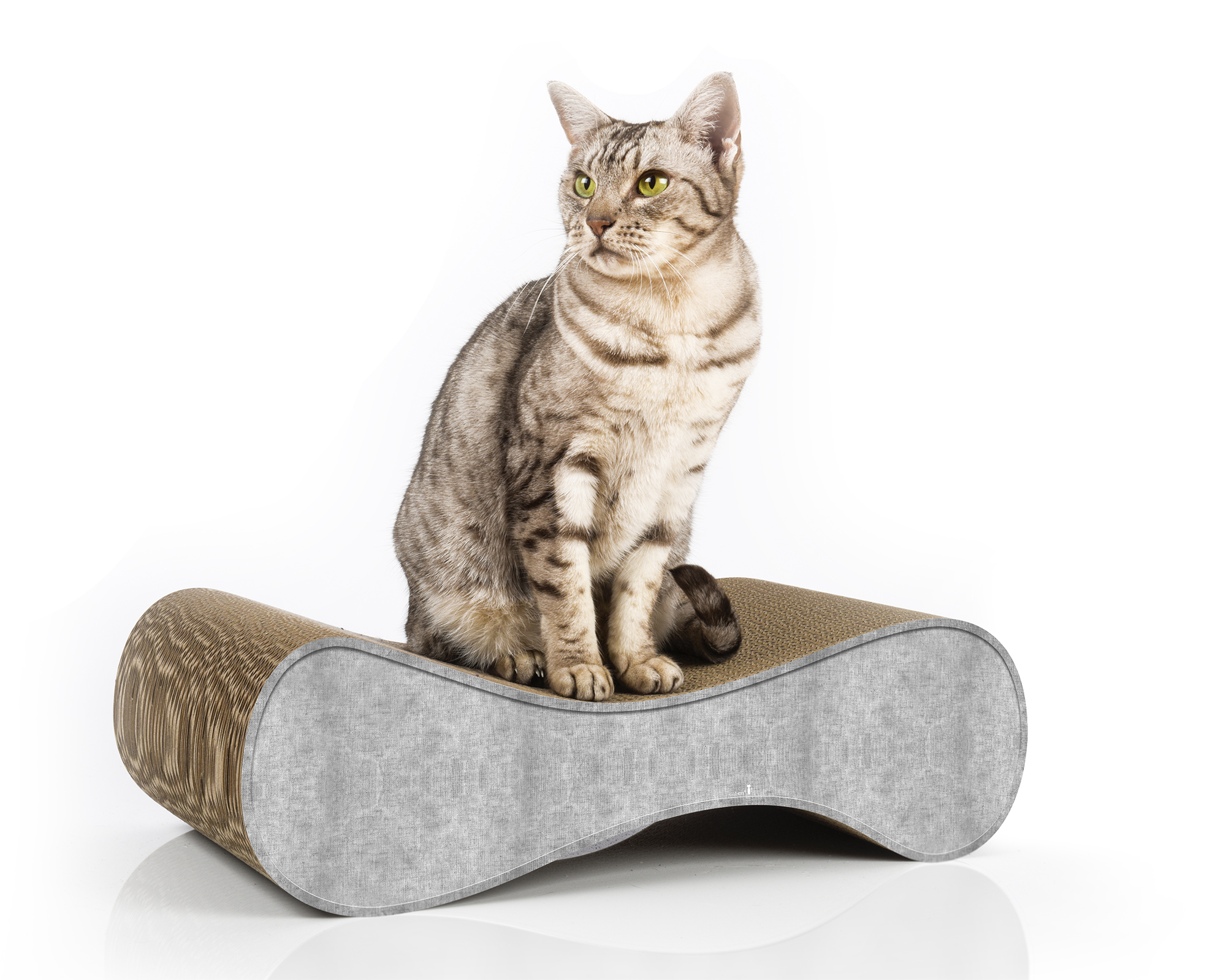 LE VER S Katzensofa in Grau – hochwertiges Katzenmöbel und Liegeplatz aus Kratzpappe, handgefertigt in Deutschland