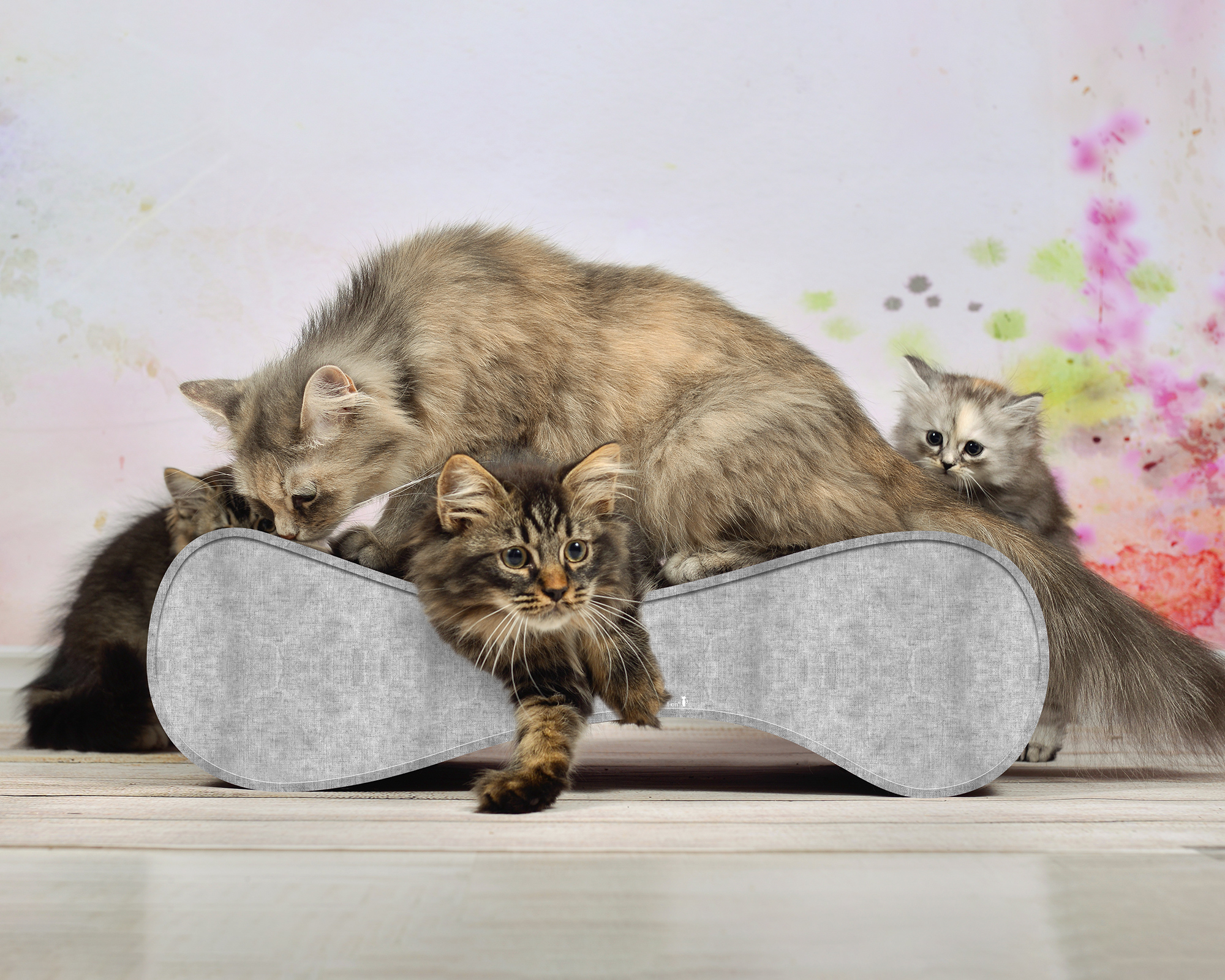 LE VER S Katzensofa in Grau – hochwertiges Katzenmöbel und Liegeplatz aus Kratzpappe, handgefertigt in Deutschland
