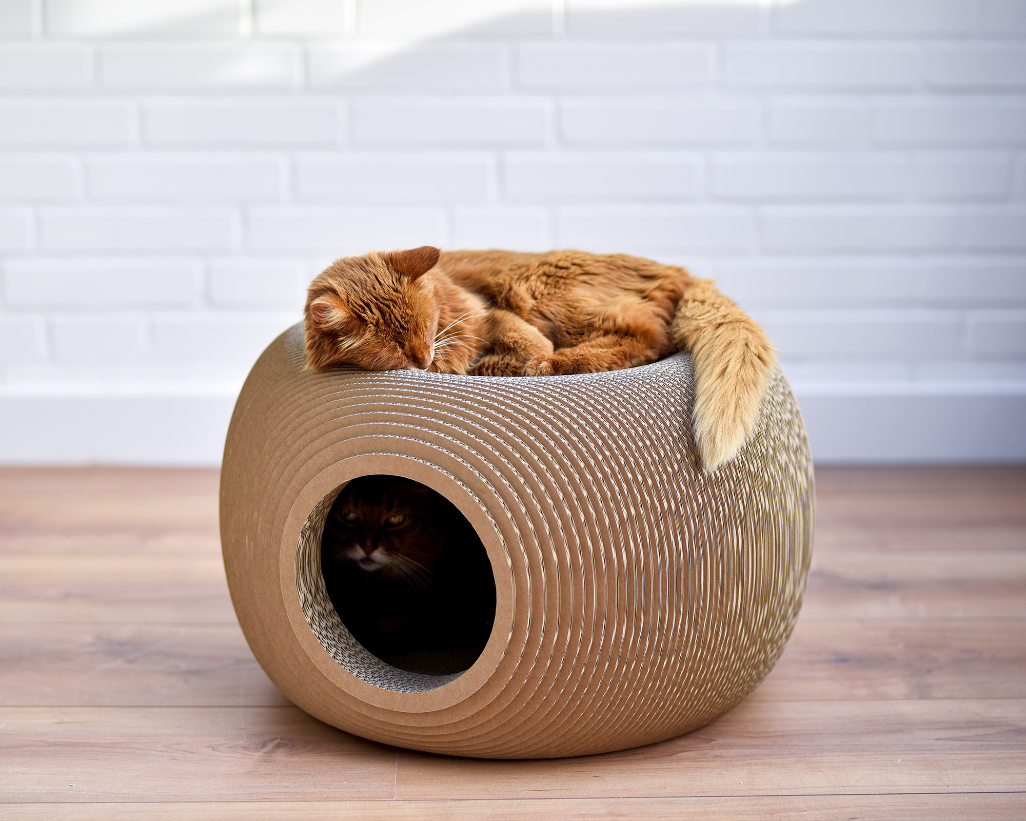 Rundes Katzenmöbel BILLE aus Wellpappe | cat on In Deutschland hergestellter Katzenkorb aus Wellpappe