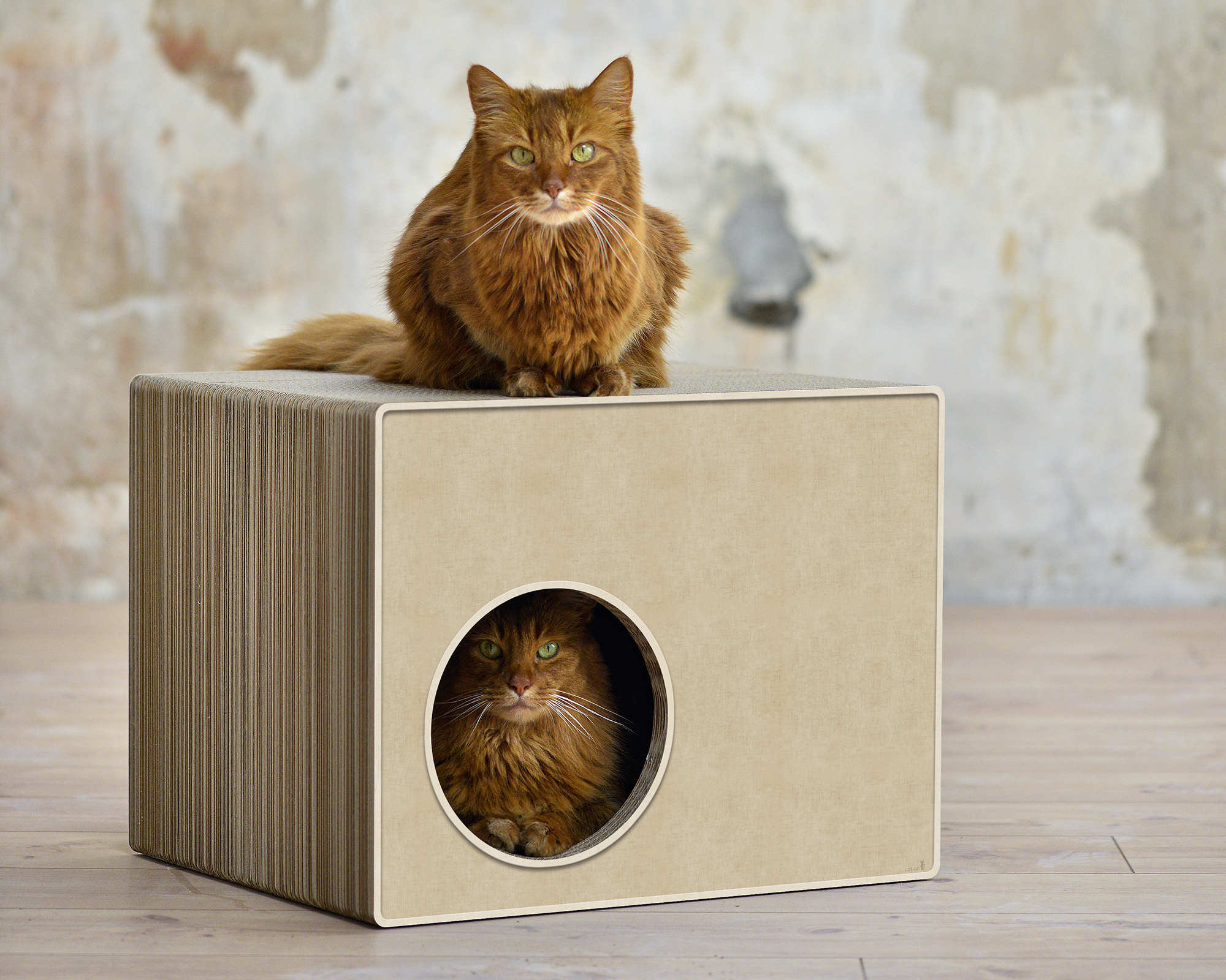 PHREDIA Eckhaus von cat-on, eine Katze oben liegend, eine Katze innen