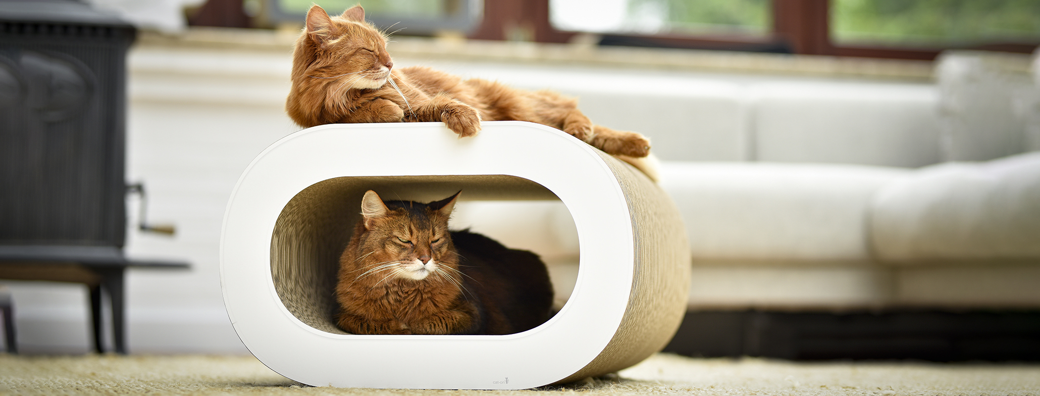 LE TRONC XL Designer Cat Scratcher, plain white (000x)