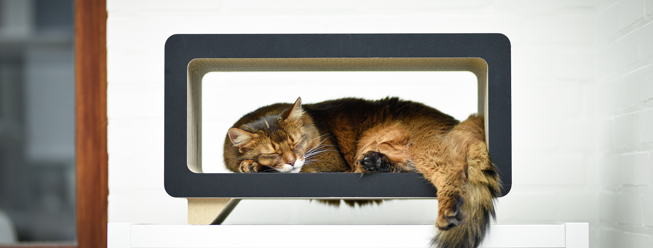 LA TELE Retro-Cat Scratcher, shiny white (000x) LA TELE Retro-Cat Scratcher, shiny white (000x)