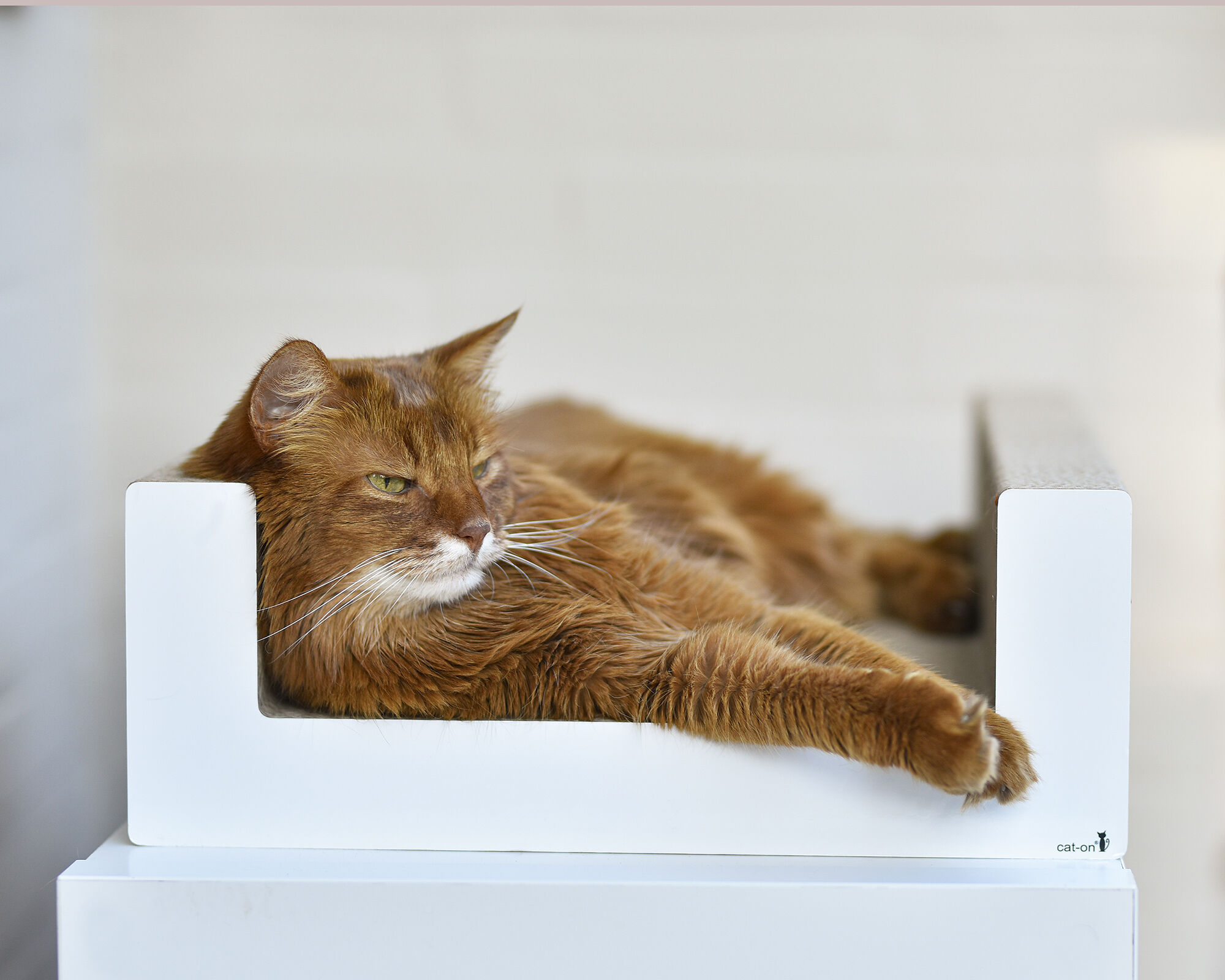 katzen-kratzkarton-wellpappe_cat-on_purrfect-scratch-lounge_weiss-000x