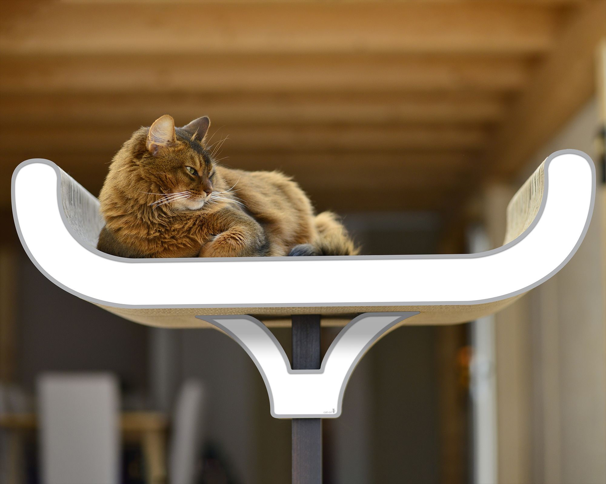 Katze liegt und spielt auf dem Design Kratzbaum Corbeille – exklusiver Kratzbaum aus Holz und Wellpappe, stilvolles Katzenmöbel