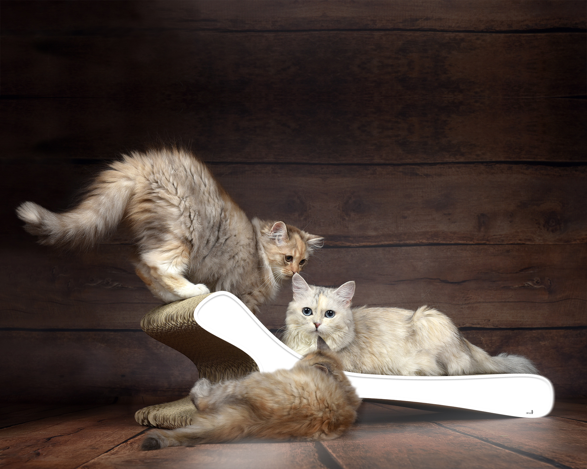 FELINE XL – Designer Kratzbrett 