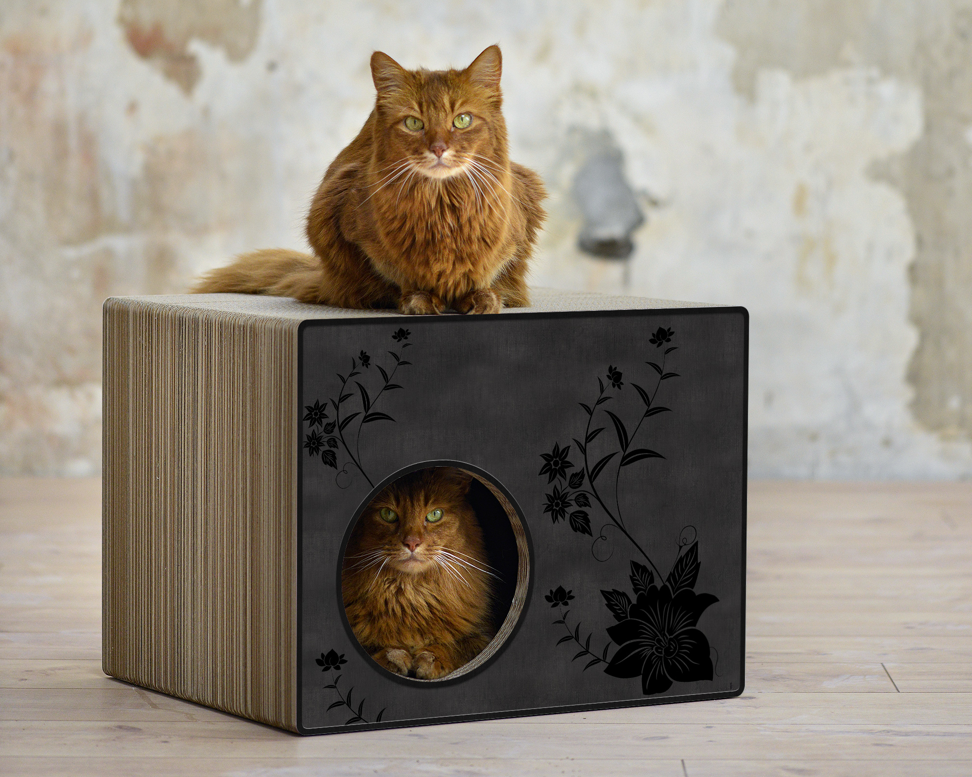 PHREDIA Eckhaus von cat-on, eine Katze oben liegend, eine Katze innen