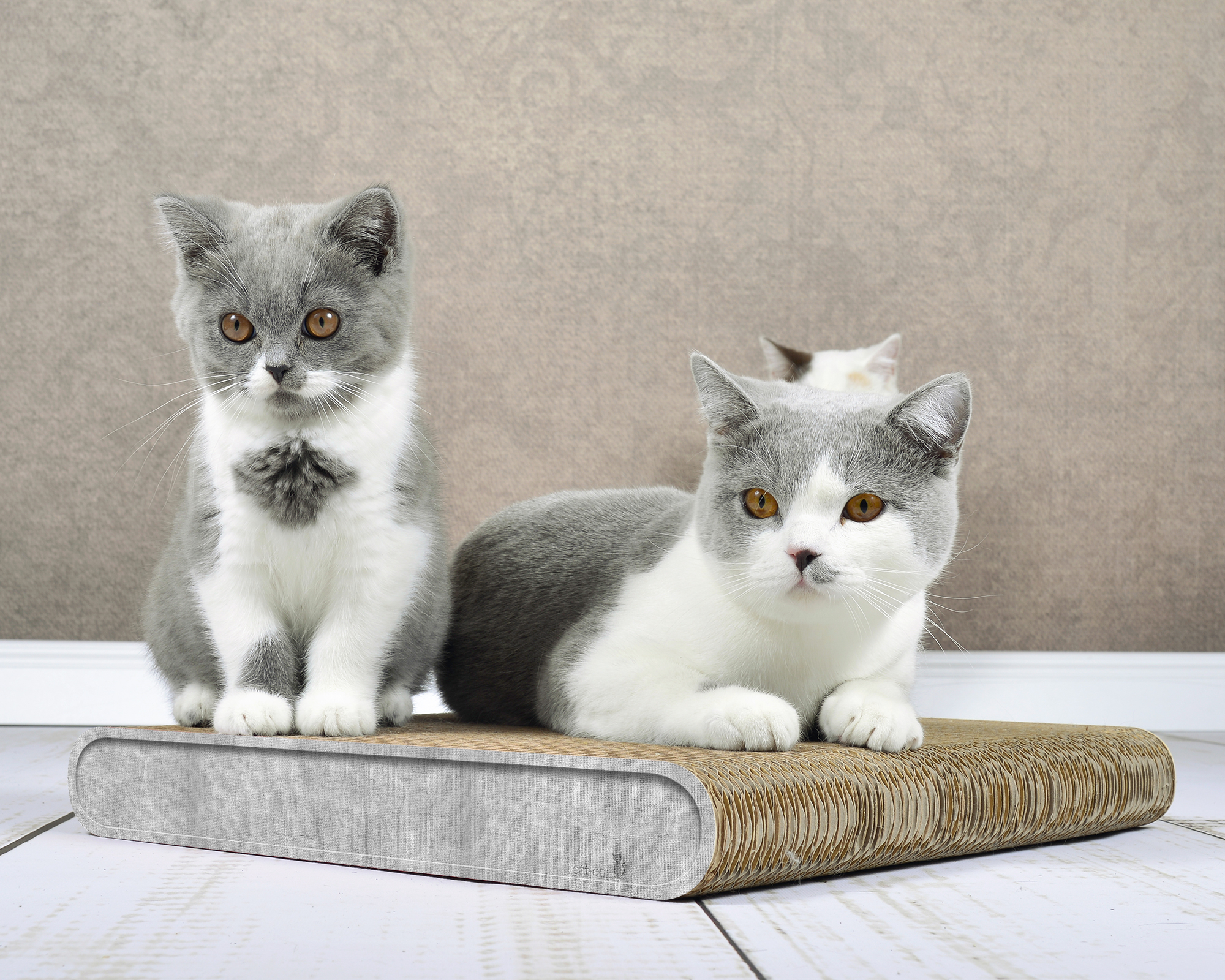 La Planche (001) in Grau – kompakter Kratz- und Liegeplatz aus FSC-Wellpappe.