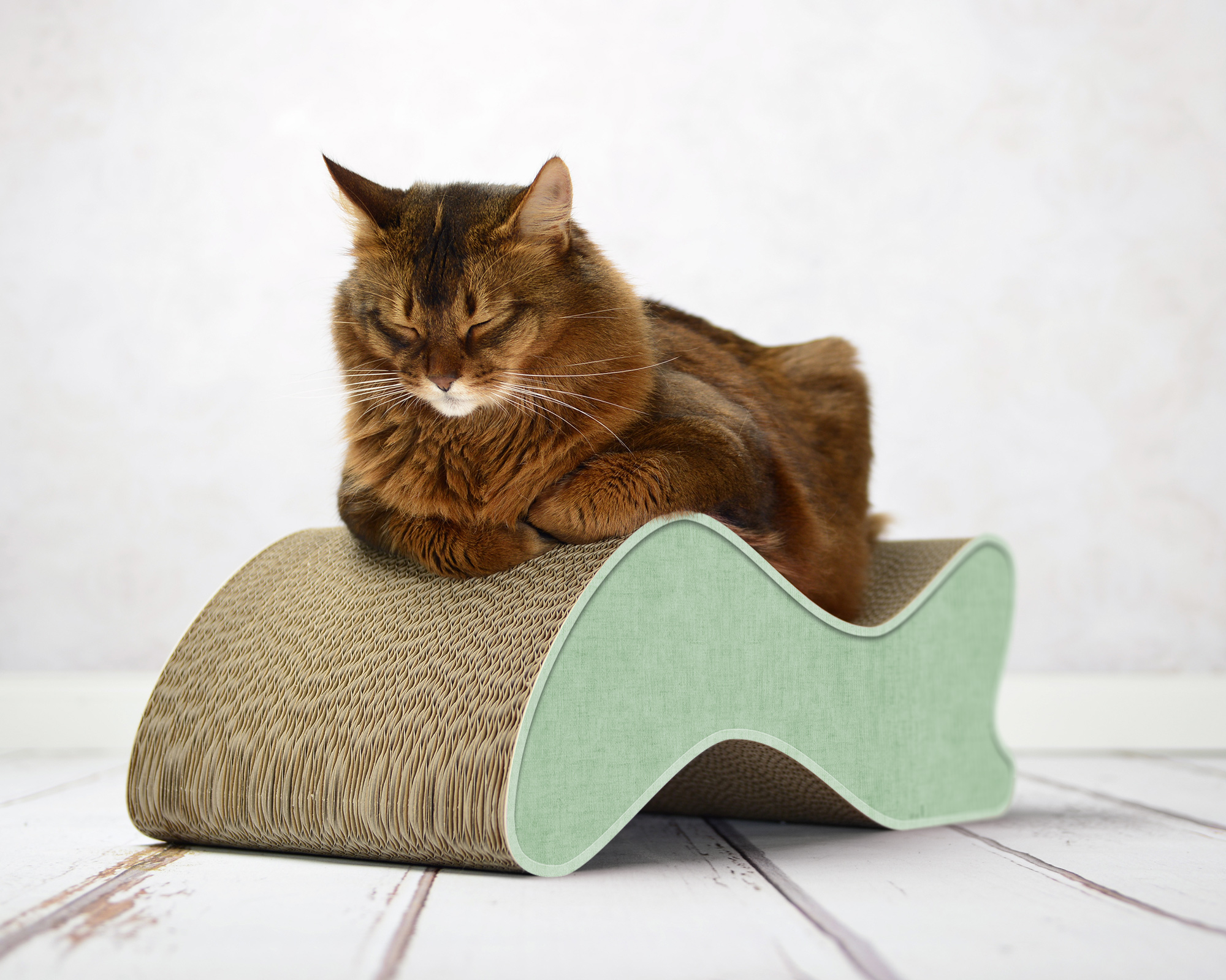 Stylisches Kratzmöbel KABOU XL in Wellenform mit Front in 006h-helmlock-mintgruen und naturbelassenem Karton.